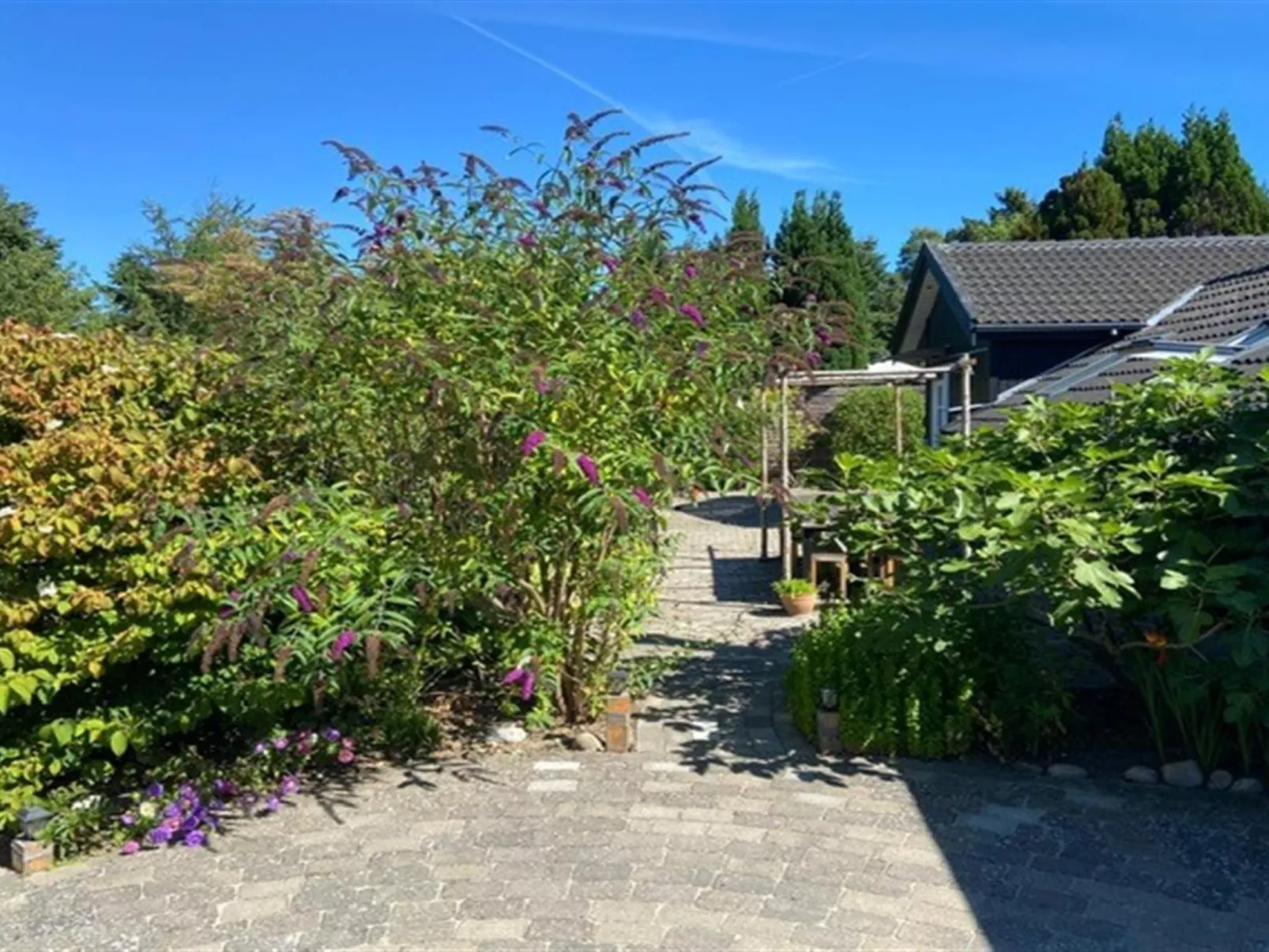 "Hughe" - 1.3km from the sea-Buiten