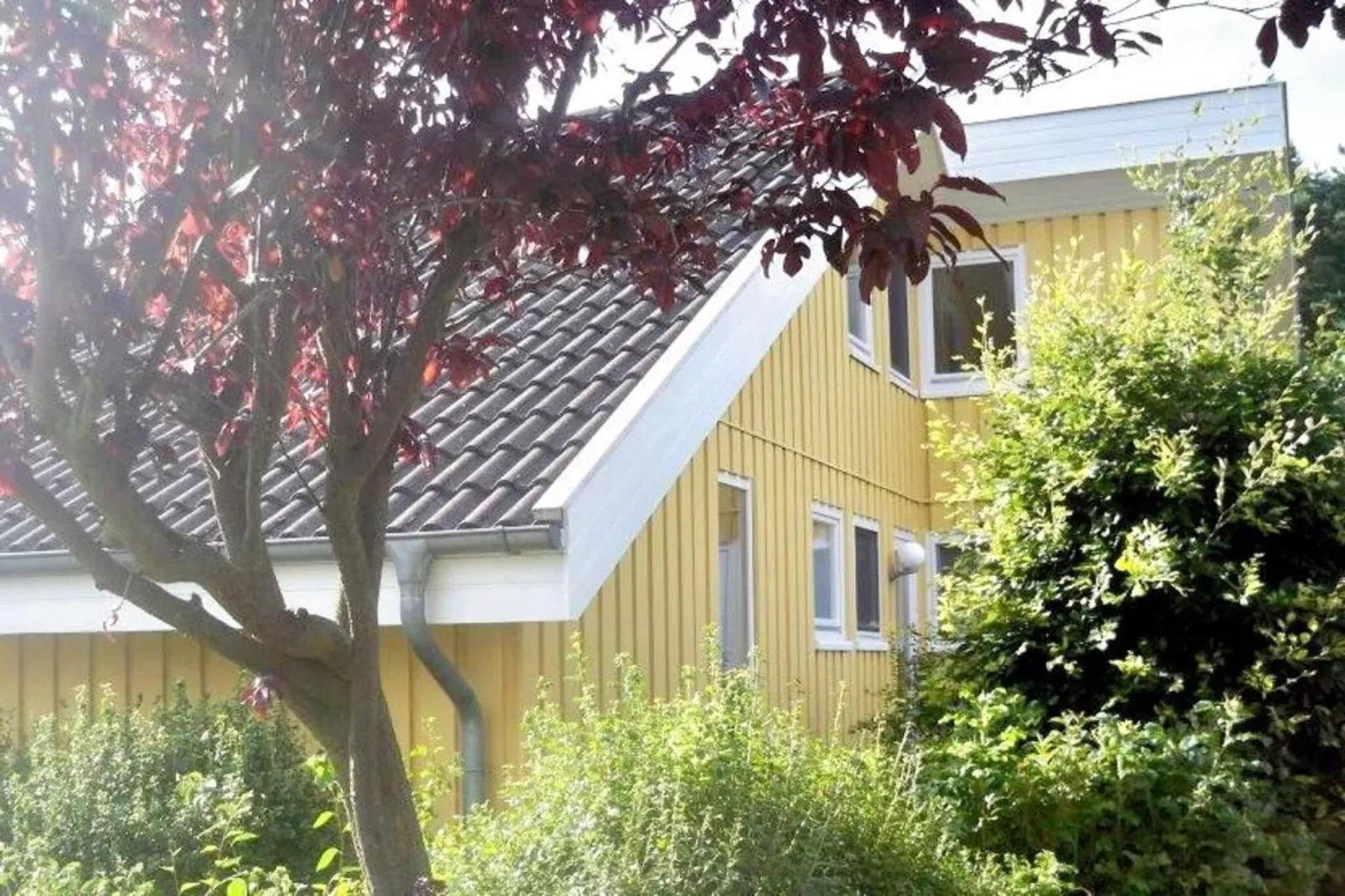 FH Wildgans Comfort Nr 201-Buitenkant zomer