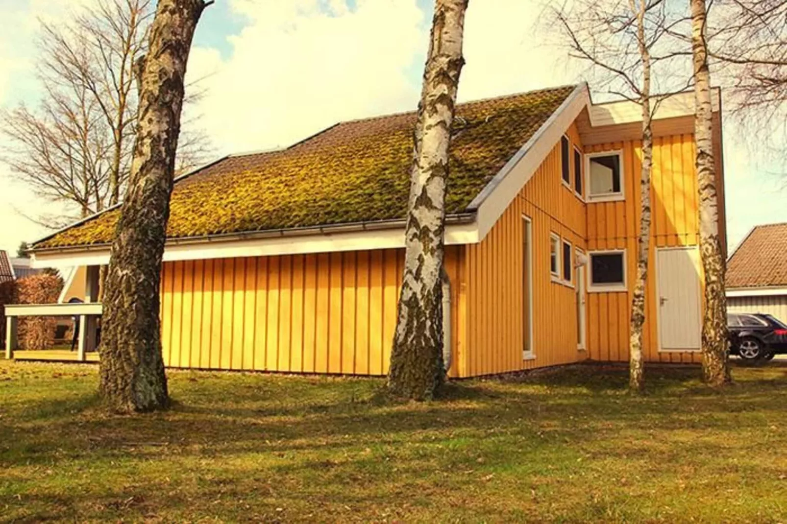 FH Wildgans Comfort Nr 280-Buitenkant zomer