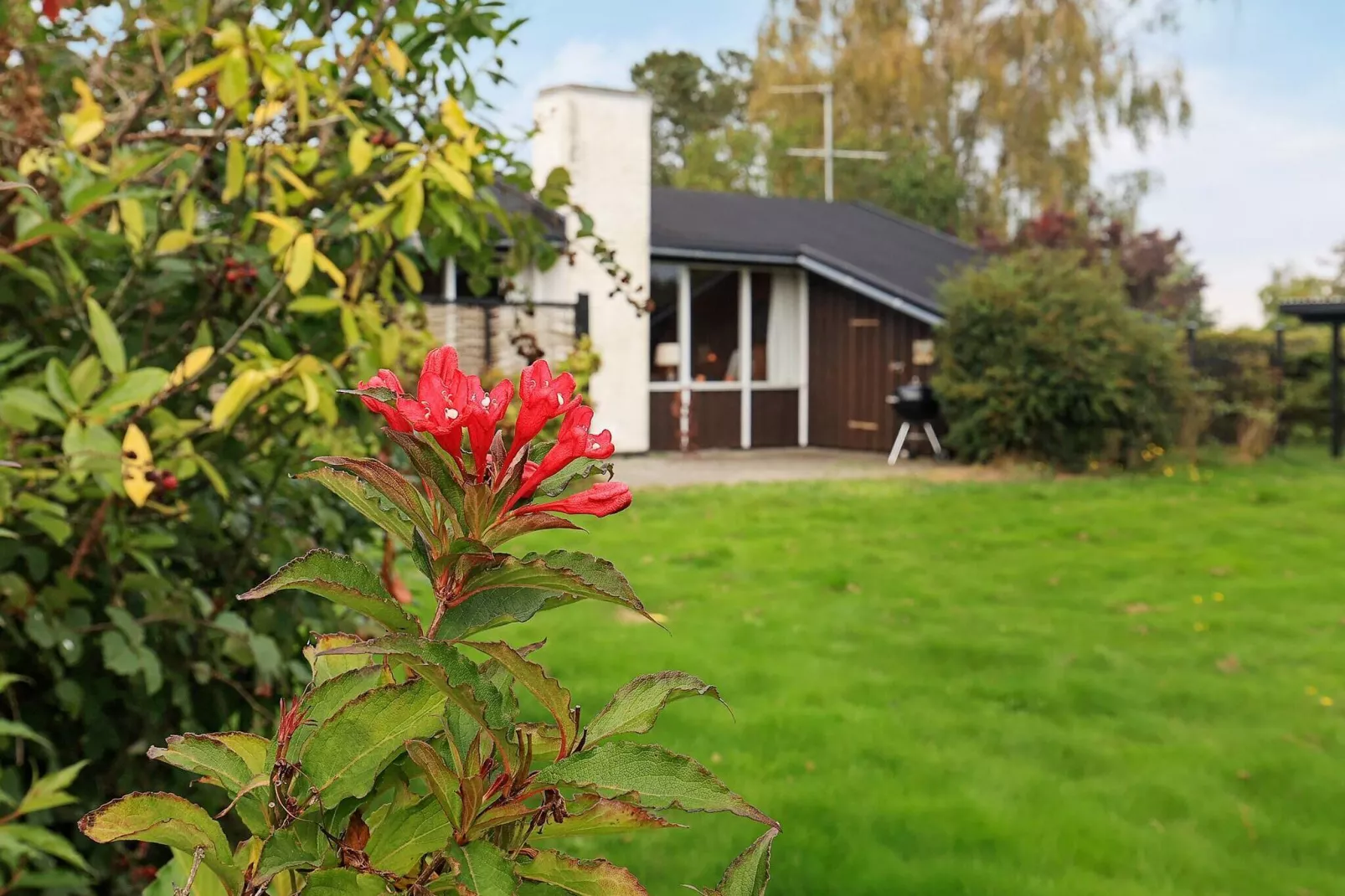 4 persoons vakantie huis in Frørup-By Traum-Uitzicht