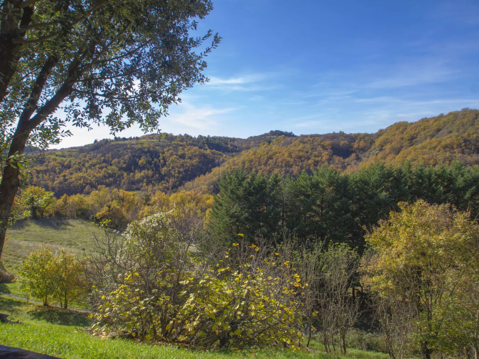 Il Frassino del Borgo di Ghiora-Buiten