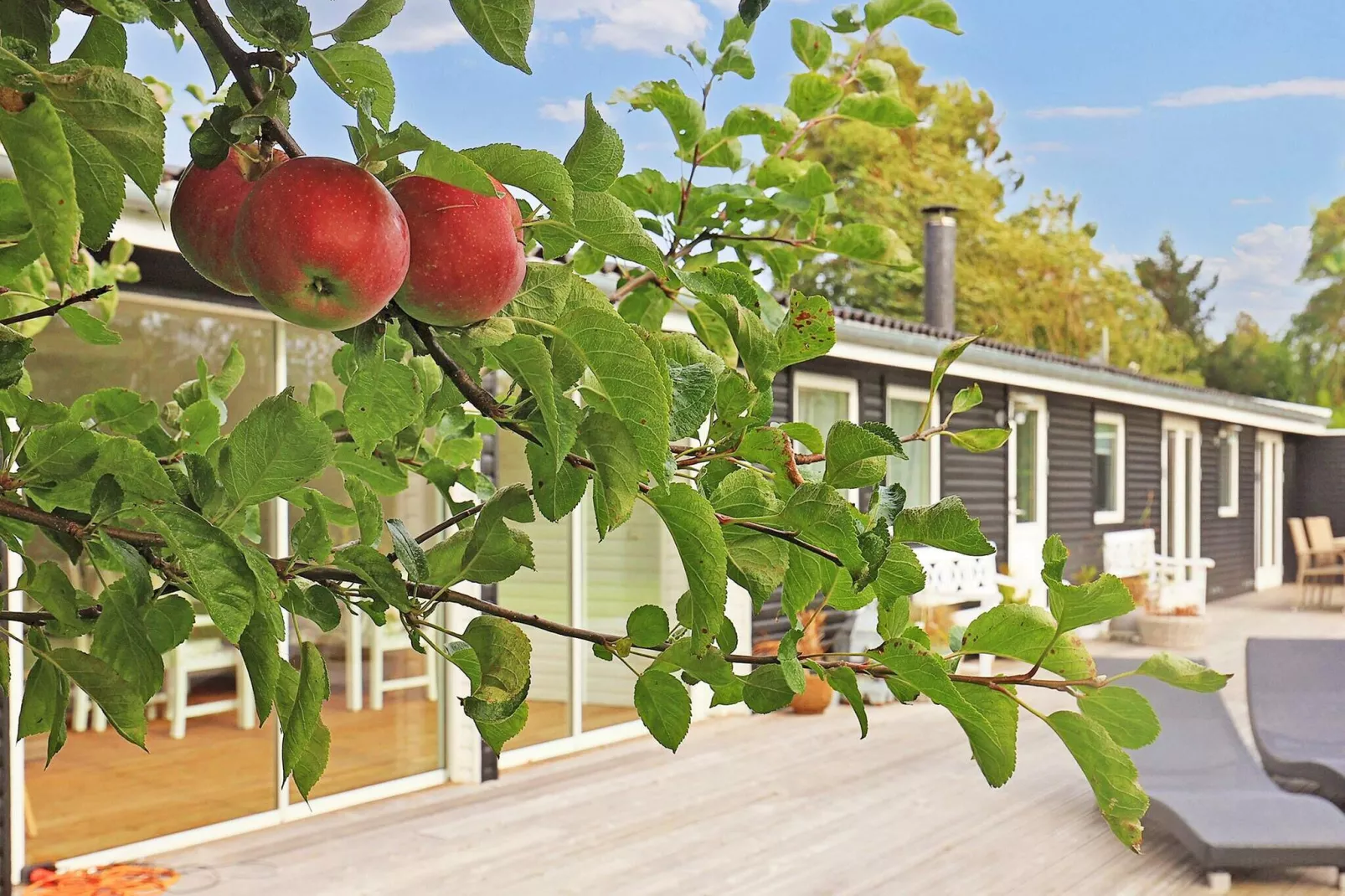 4 sterren vakantie huis in Stege-By Traum