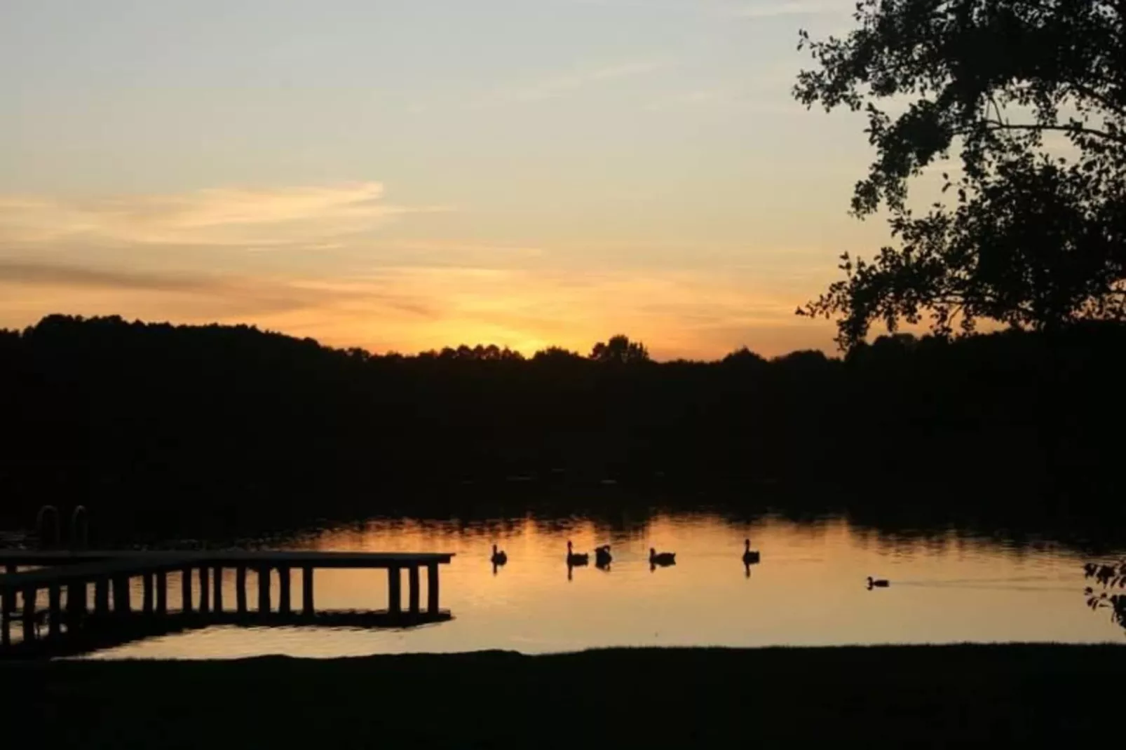 FH Wildgans Comfort Nr 28-Gebieden zomer 5km