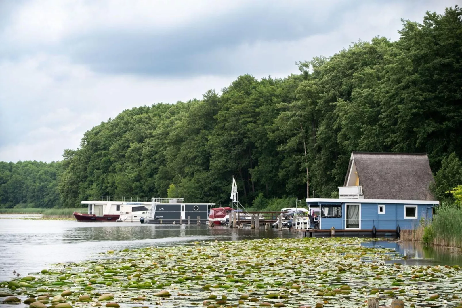 Schneeeule 202-Gebieden zomer 5km