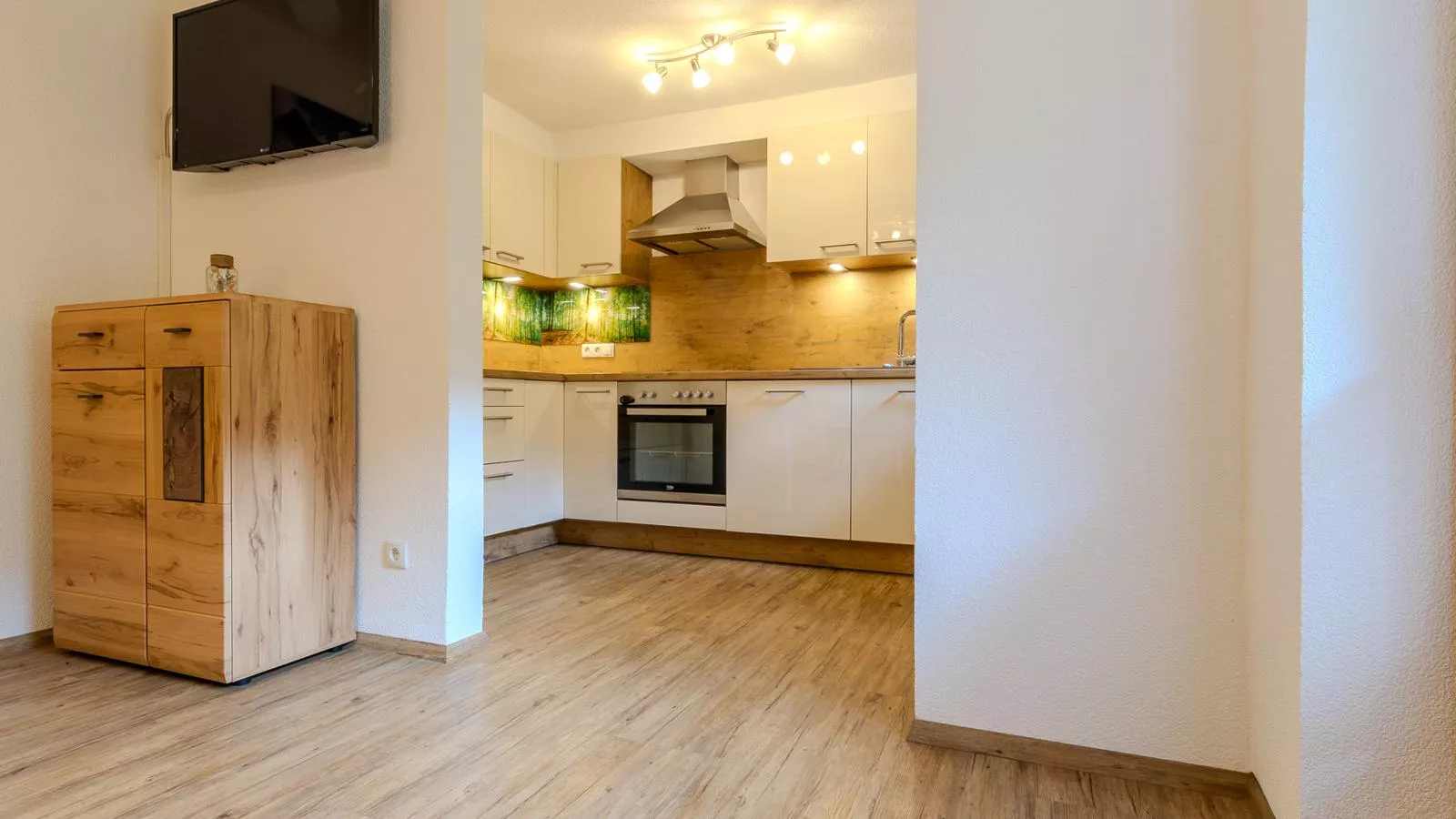 Apartment Klaus-Keuken