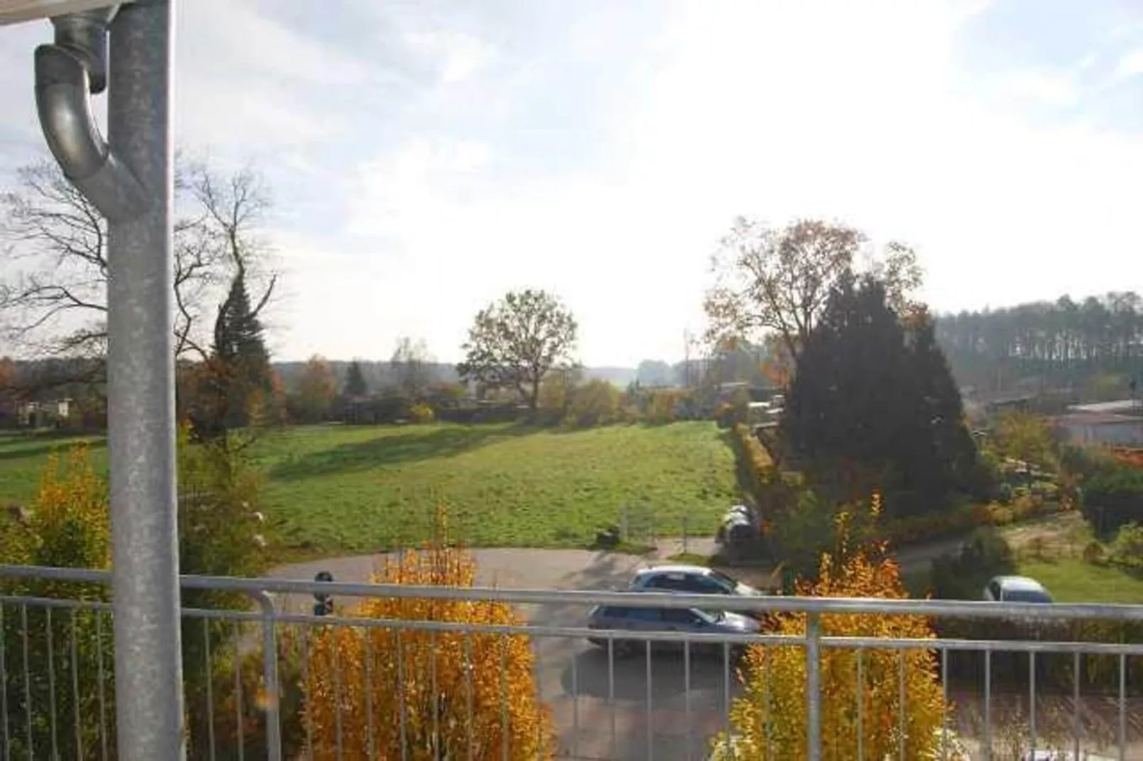 Schneeeule 203-Tuinen zomer