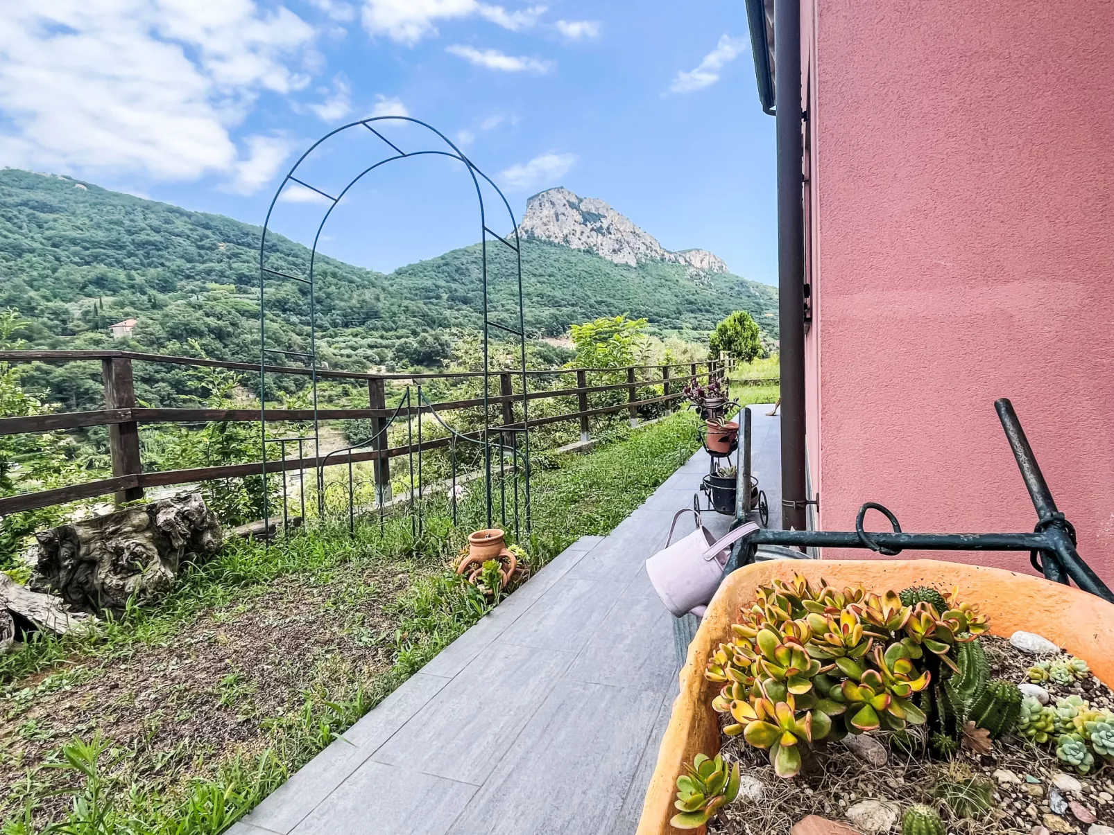 Le radici dell´ulivo-Buiten