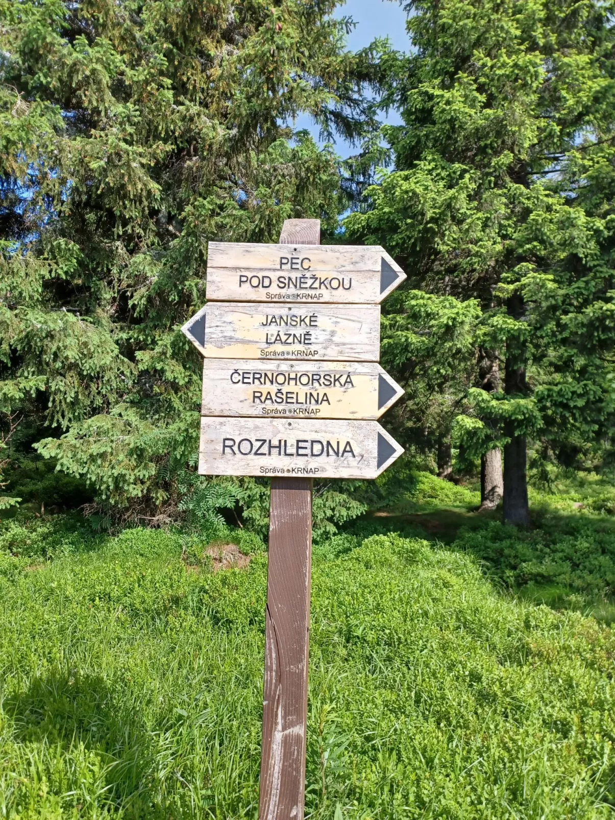 Penzion Natty-Omgeving