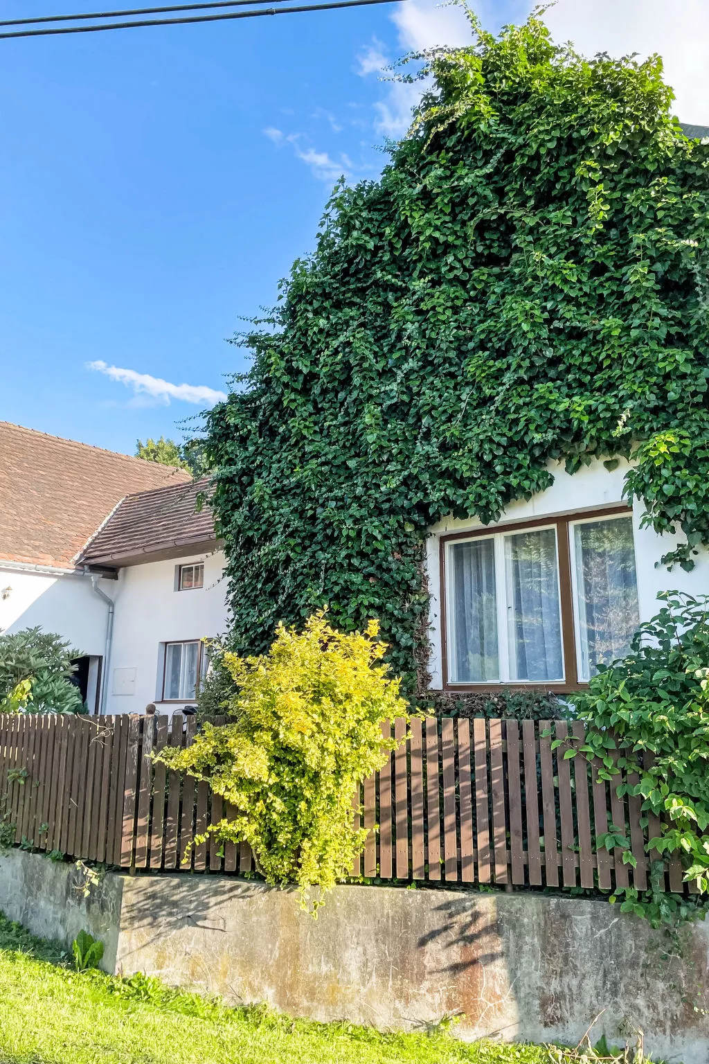 Forrest Haven Vodice