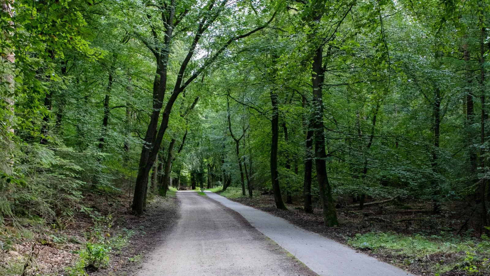 De Tortelduif-Gebieden zomer 1km