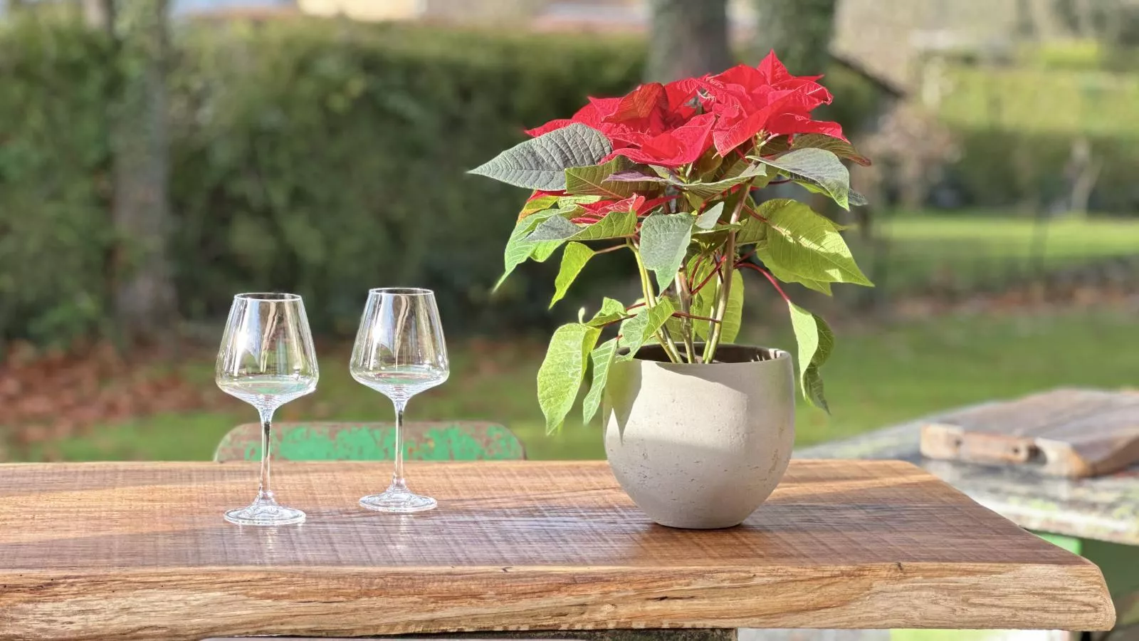 Chez Brigitte-Terrasbalkon