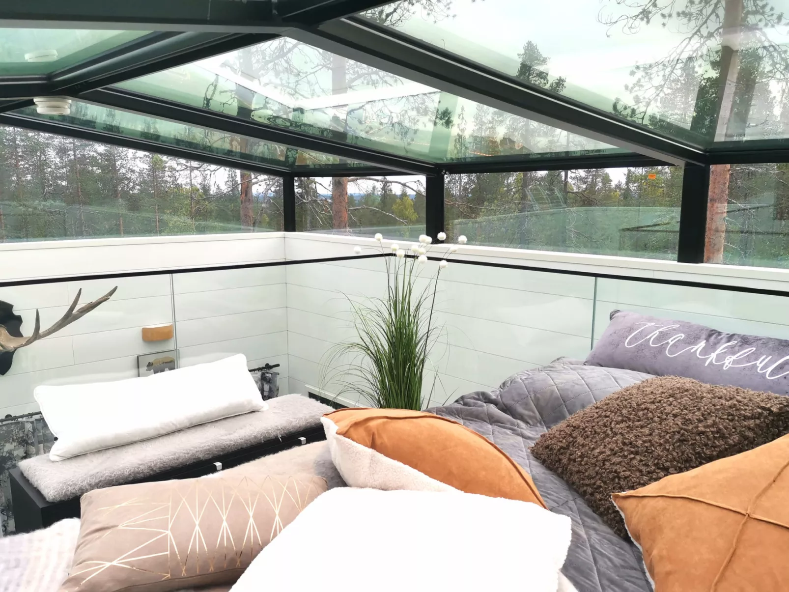 Levi secret igloo ruska 8d-Binnen