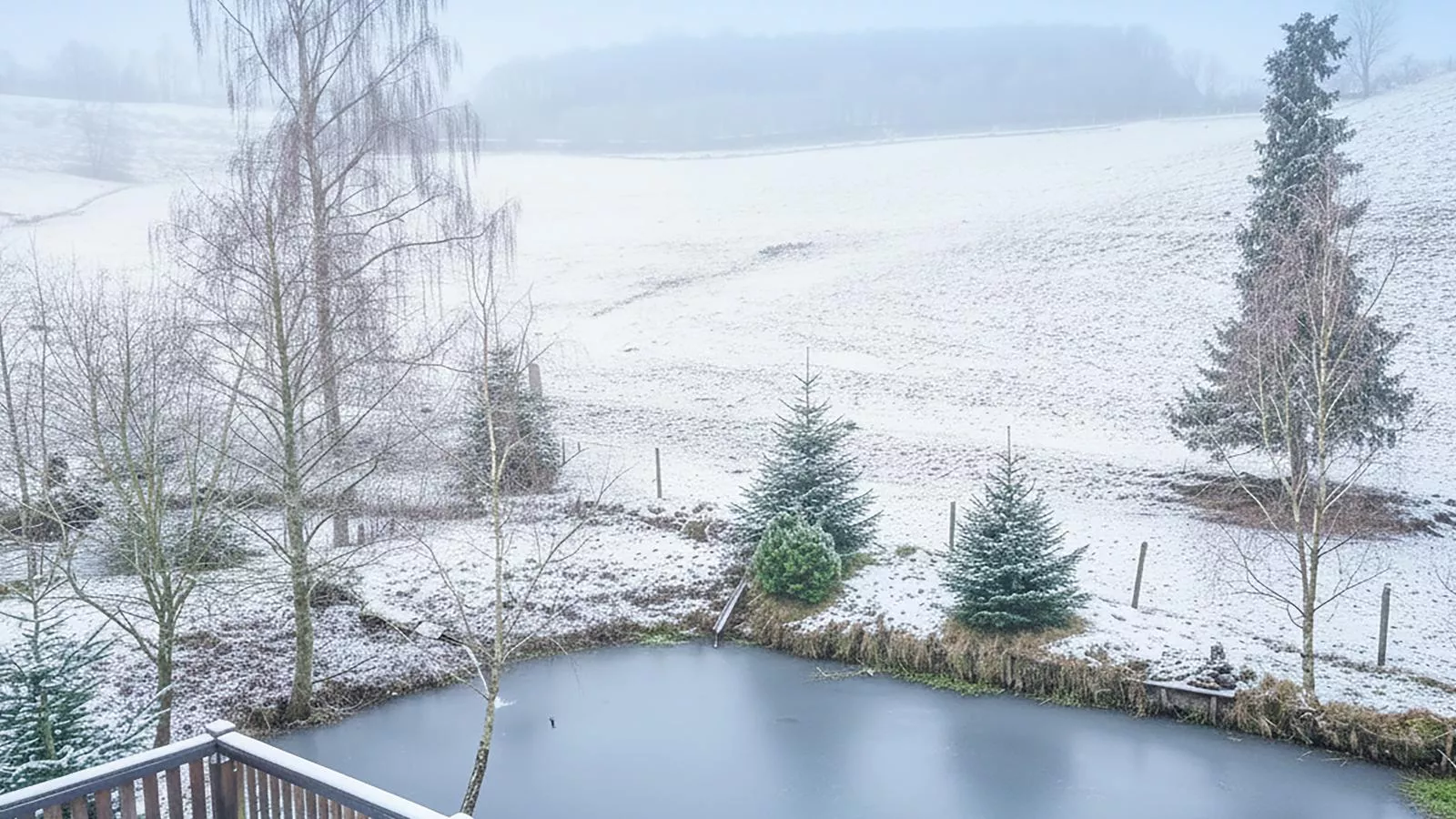 Am Damwildgehege I-Tuin winter