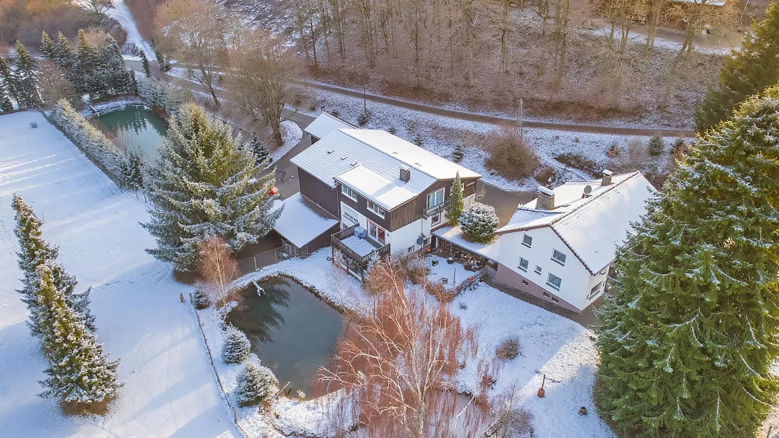 Am Damwildgehege I-Exterieur winter