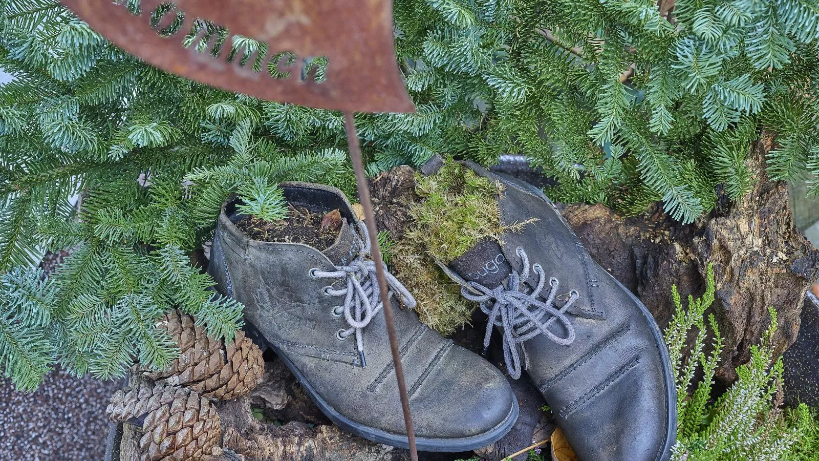 Am Damwildgehege I-Sfeer