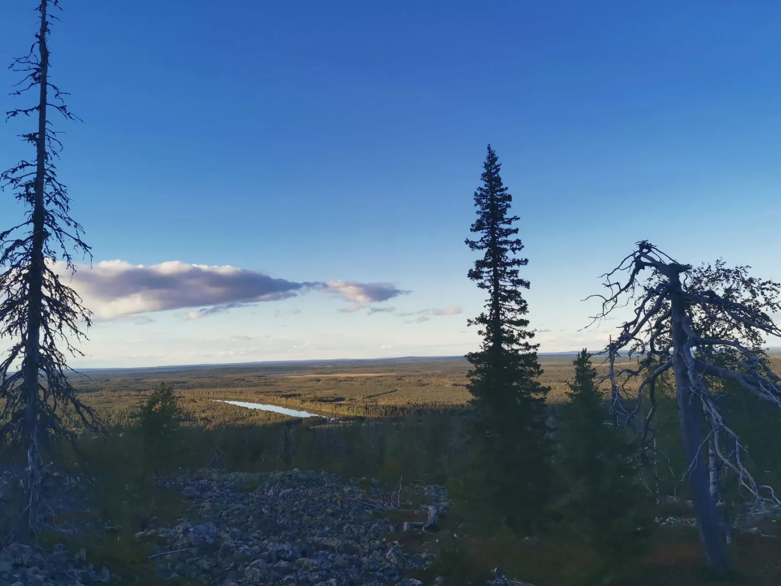 Levi secret igloo ruska 8d-Binnen