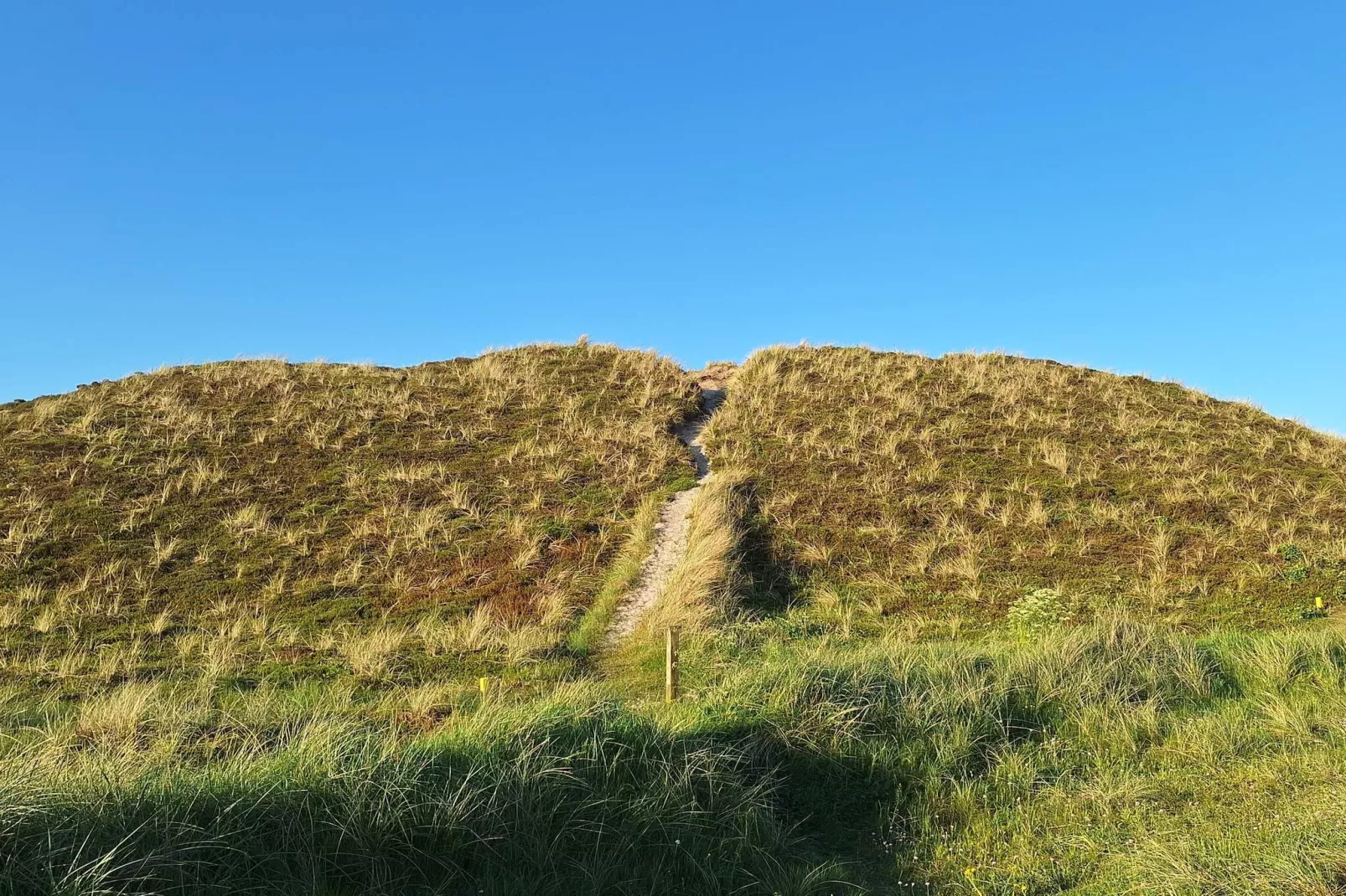 6 persoons vakantie huis in Hvide Sande-Niet-getagd