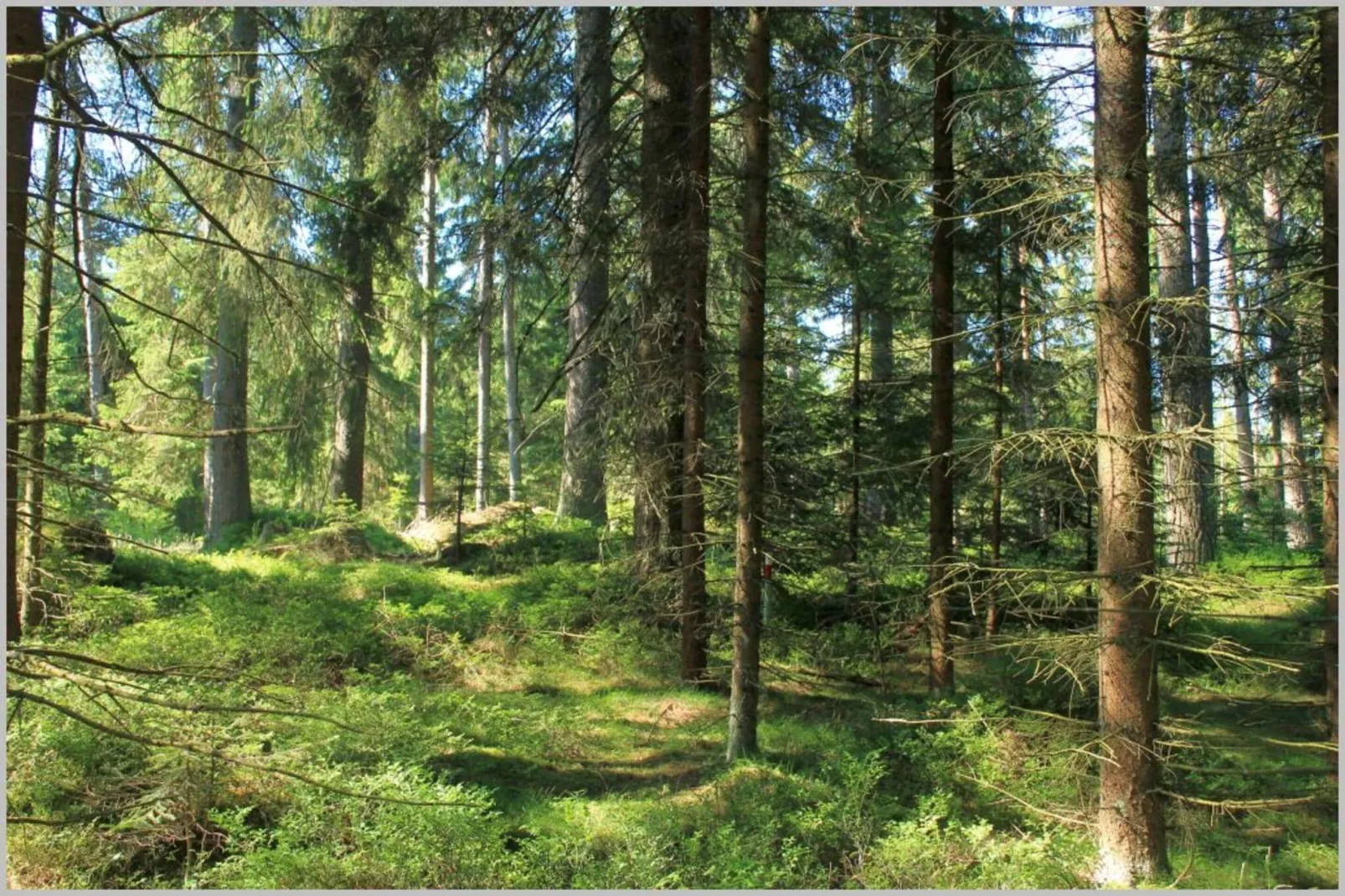 Haus Altmelon-Gebieden zomer 1km