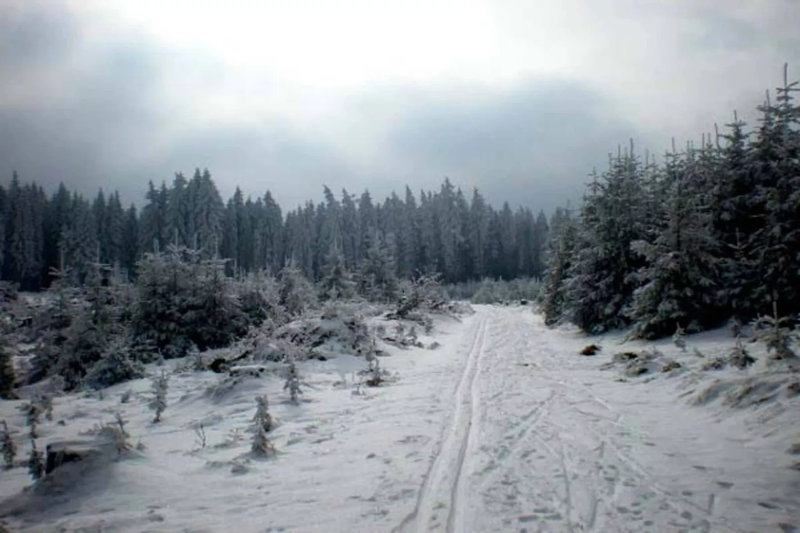 Haus Altmelon-Gebied winter 5km