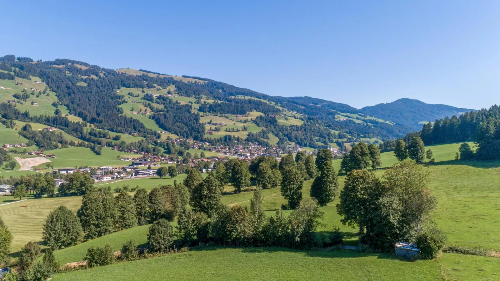 Ferienwohnung Krimbacher-Gebieden zomer 20km