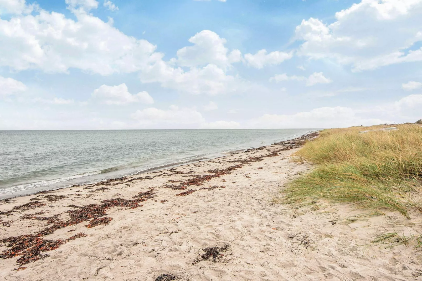 6 persoons vakantie huis in Glesborg-Waterzicht