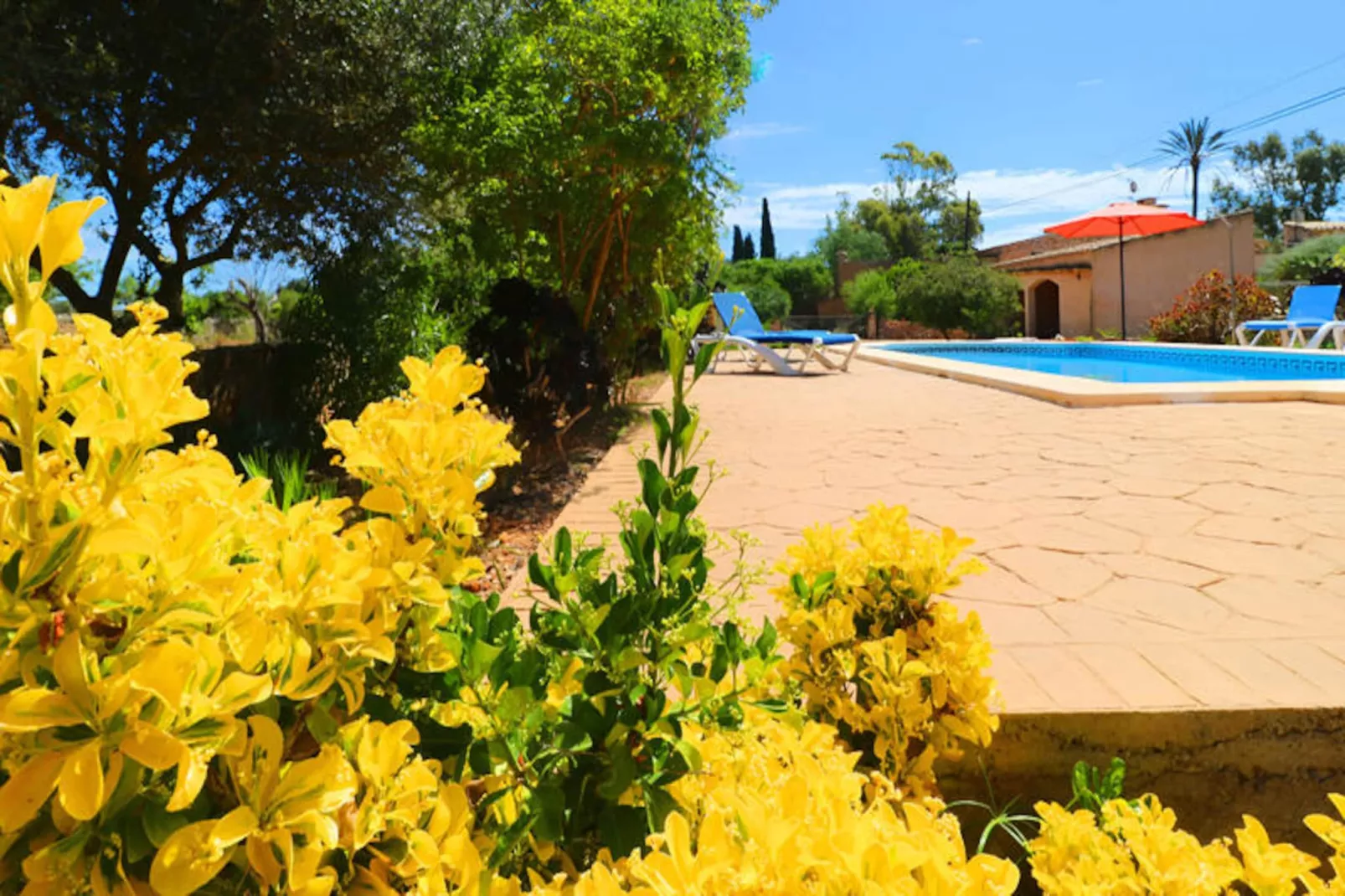 Maison à Llombards-Niet-getagd