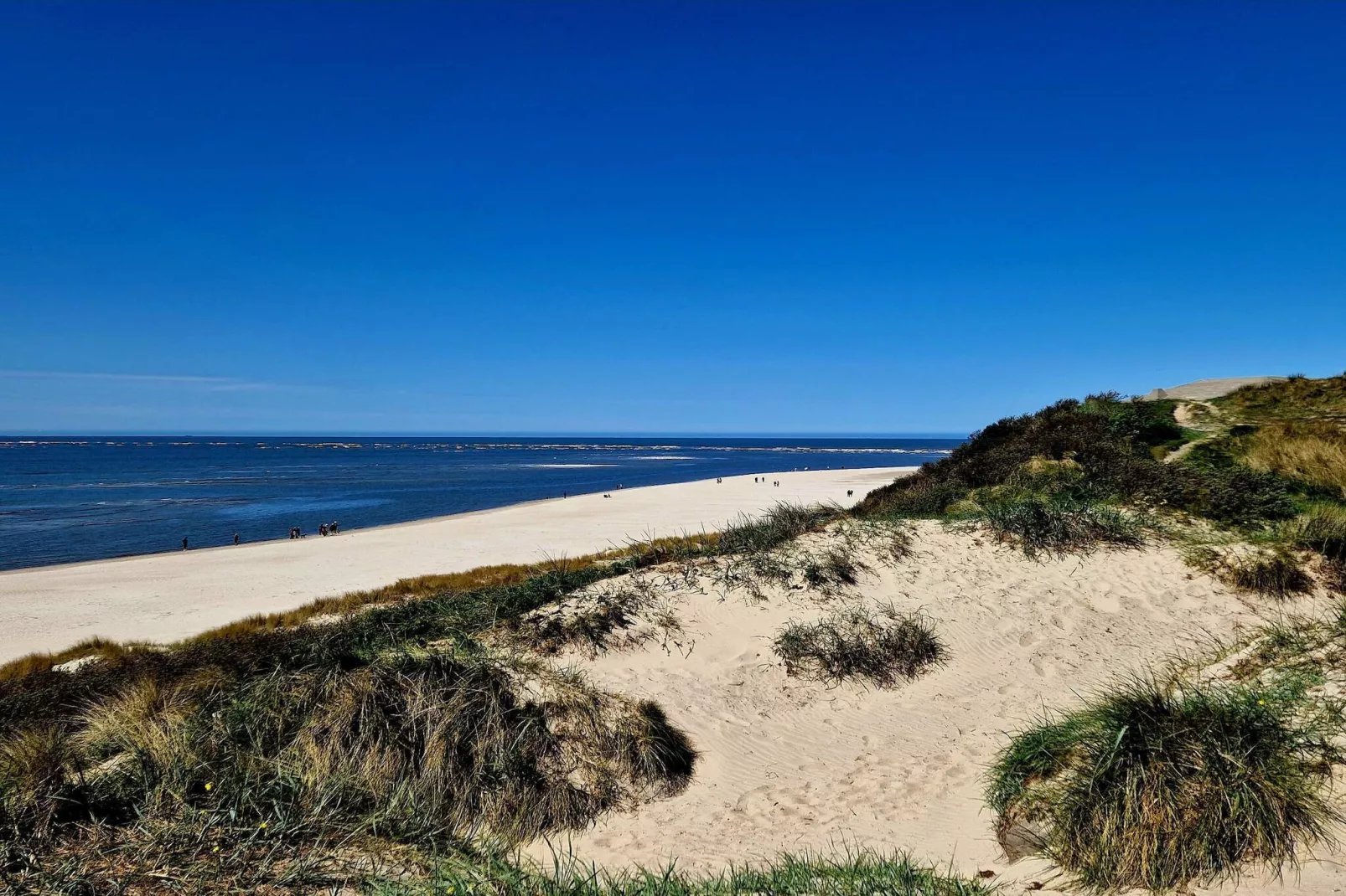 10 persoons vakantie huis in Blåvand-Waterzicht