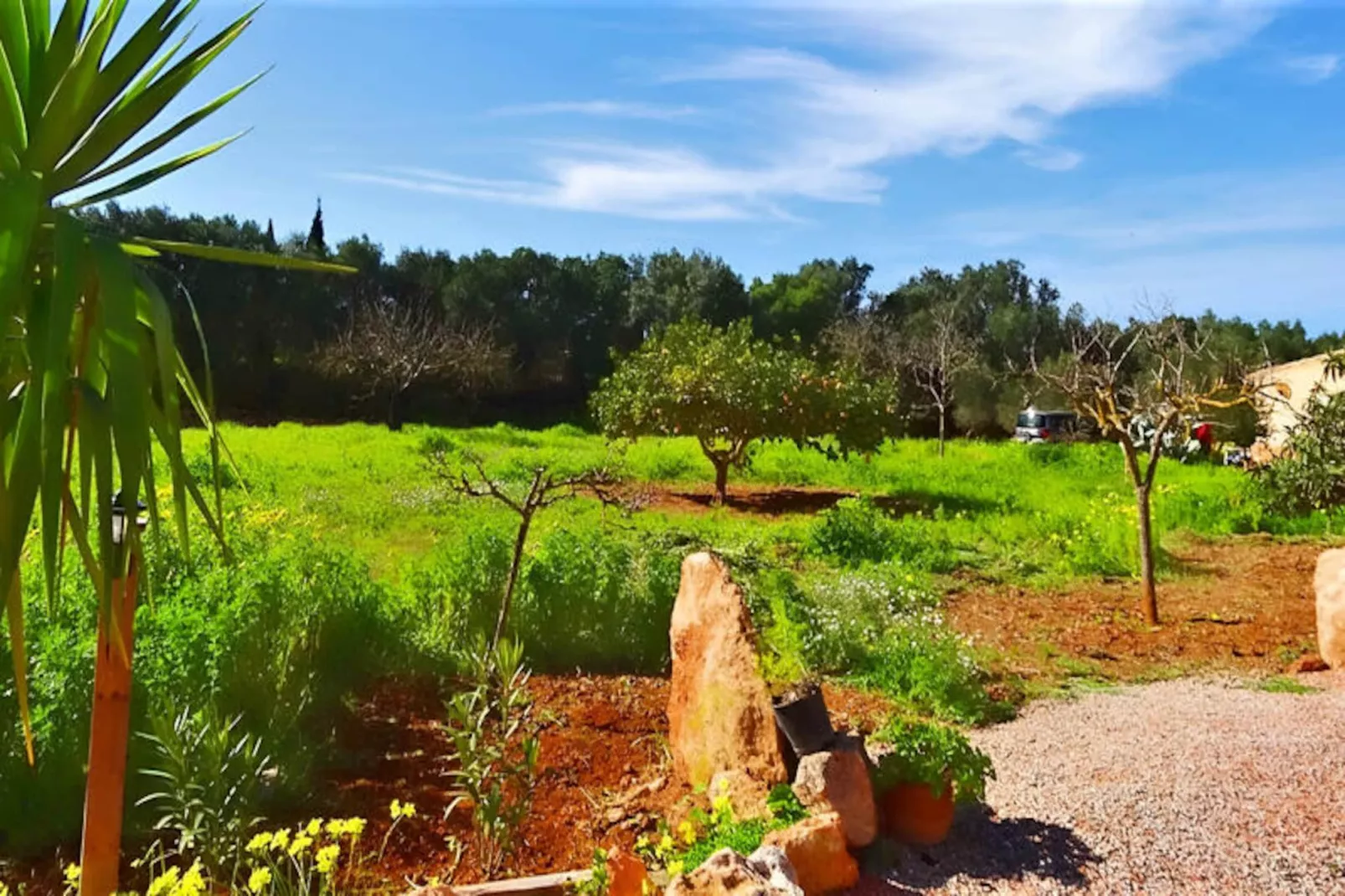 Maison à Llucmajor-Niet-getagd