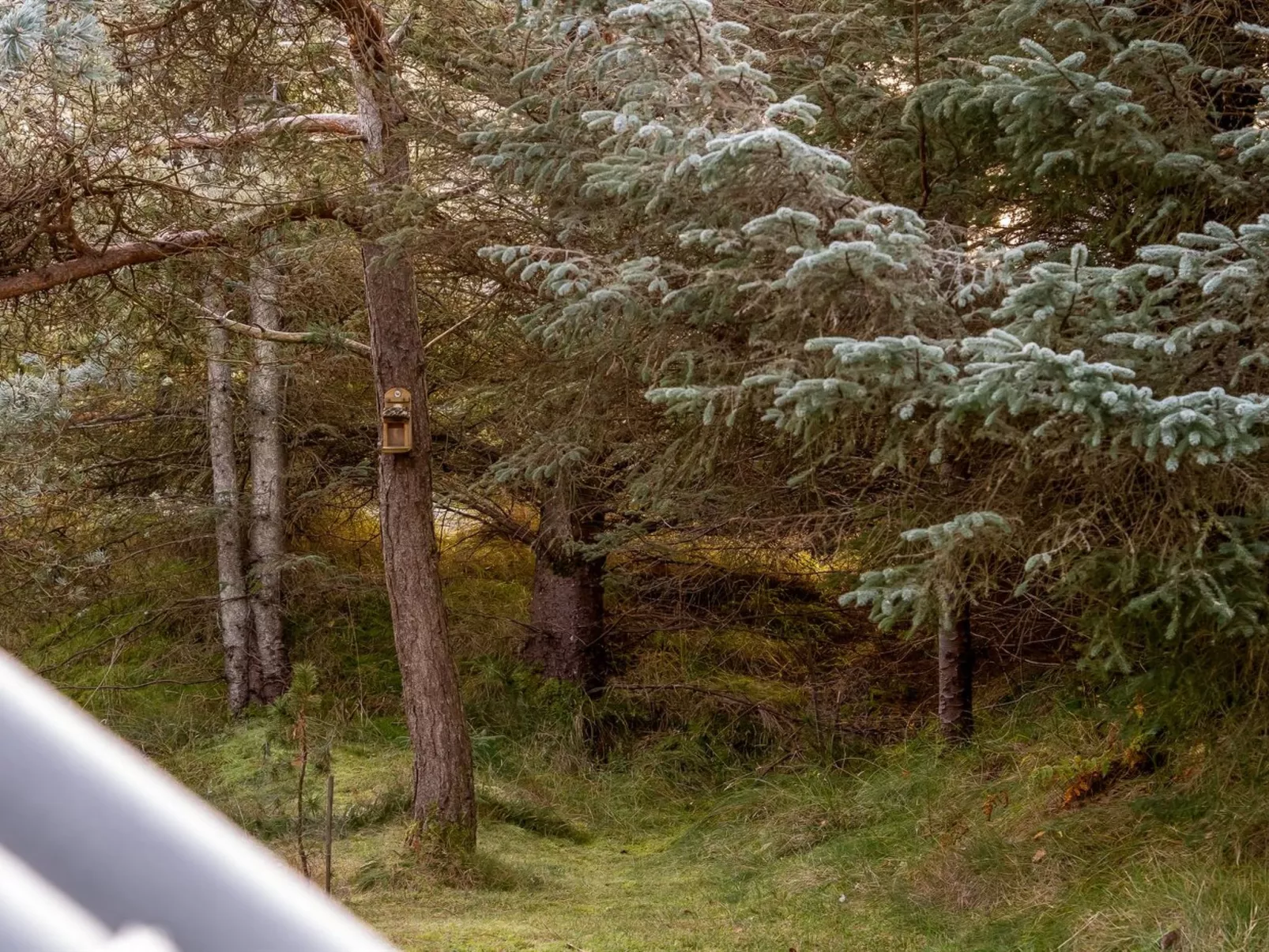 "Ejla" - 600m from the sea-Buiten