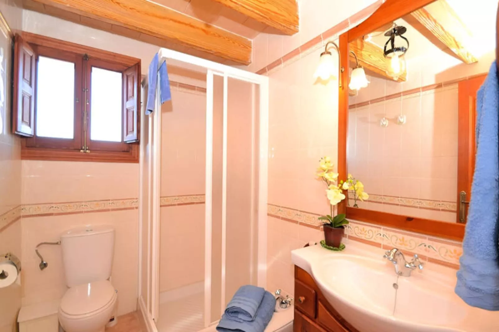 Maison à Ariany-Niet-getagd