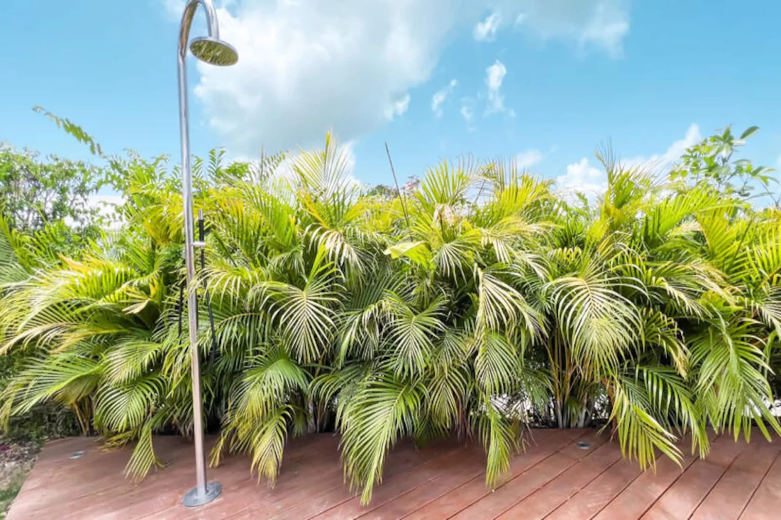 Maison à Saint François-Niet-getagd