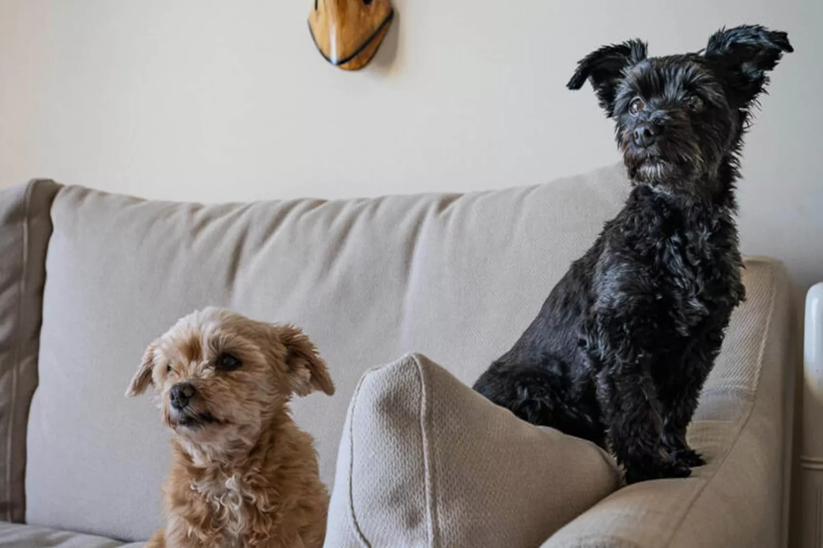 Appartements à Manilva-Niet-getagd