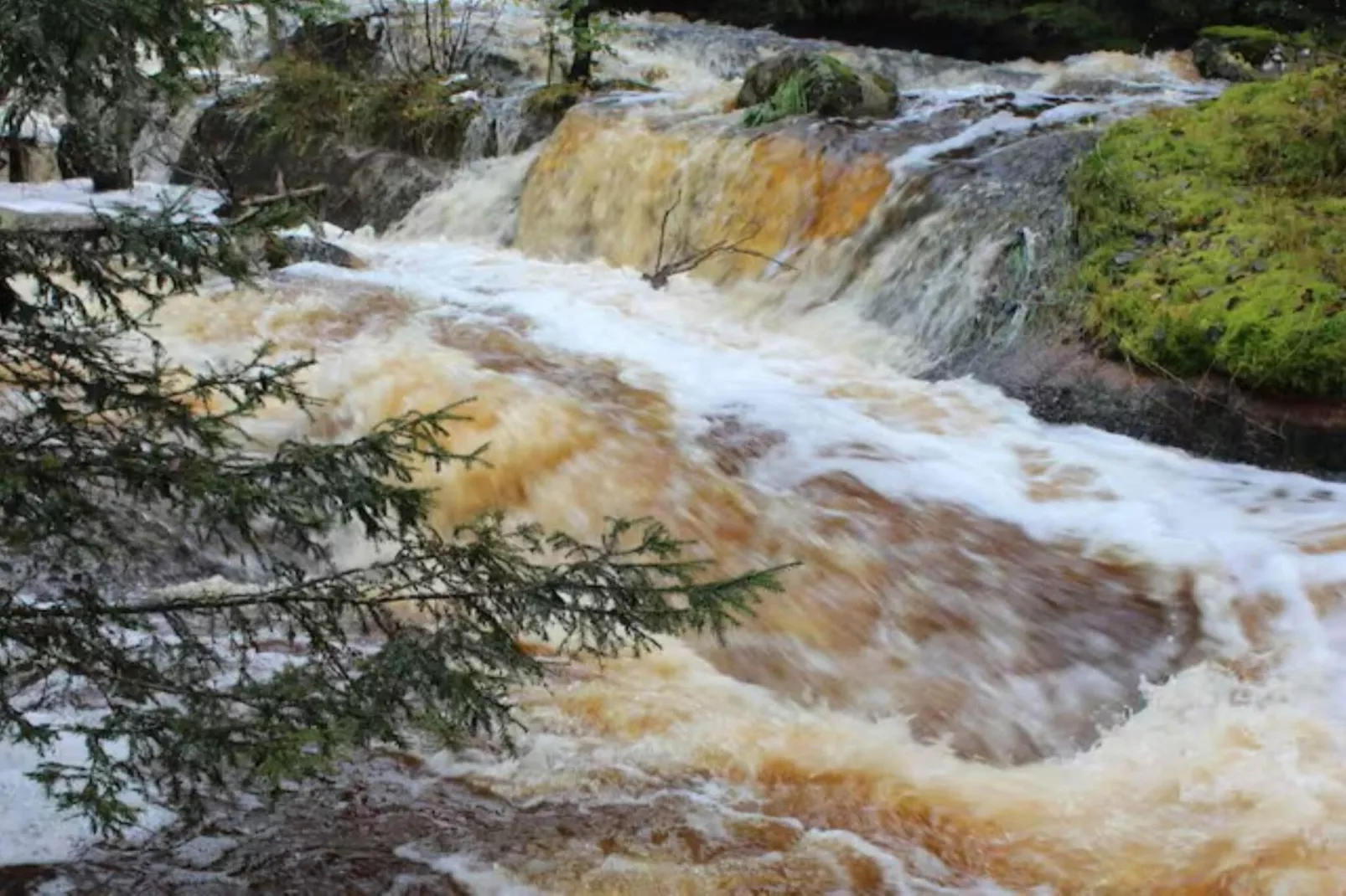 4 Personen vakantie huis in LUR-Buitenlucht