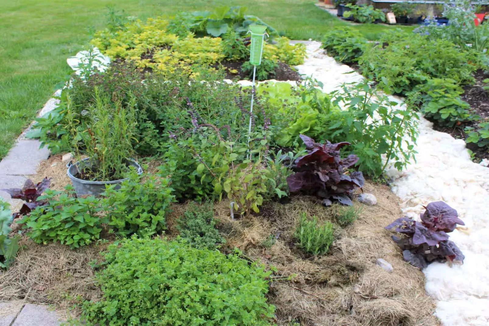 4 Personen vakantie huis in LUR-Buitenlucht