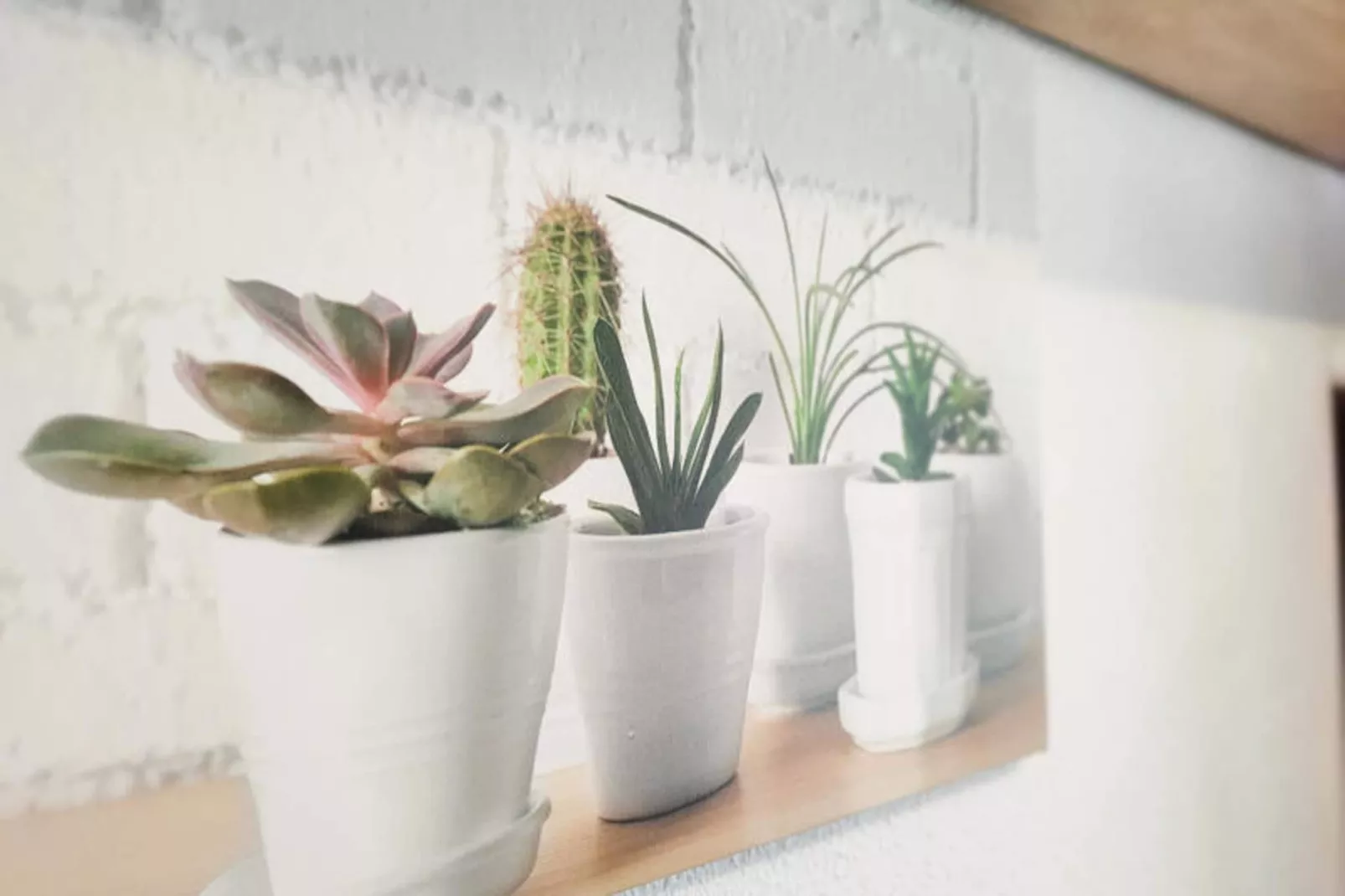 Appartements à Canet d'En Berenguer-Niet-getagd