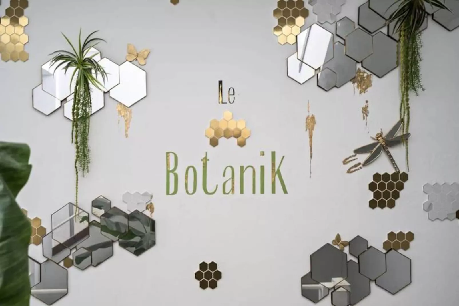 Studio à Fort de France - Niet-getagd