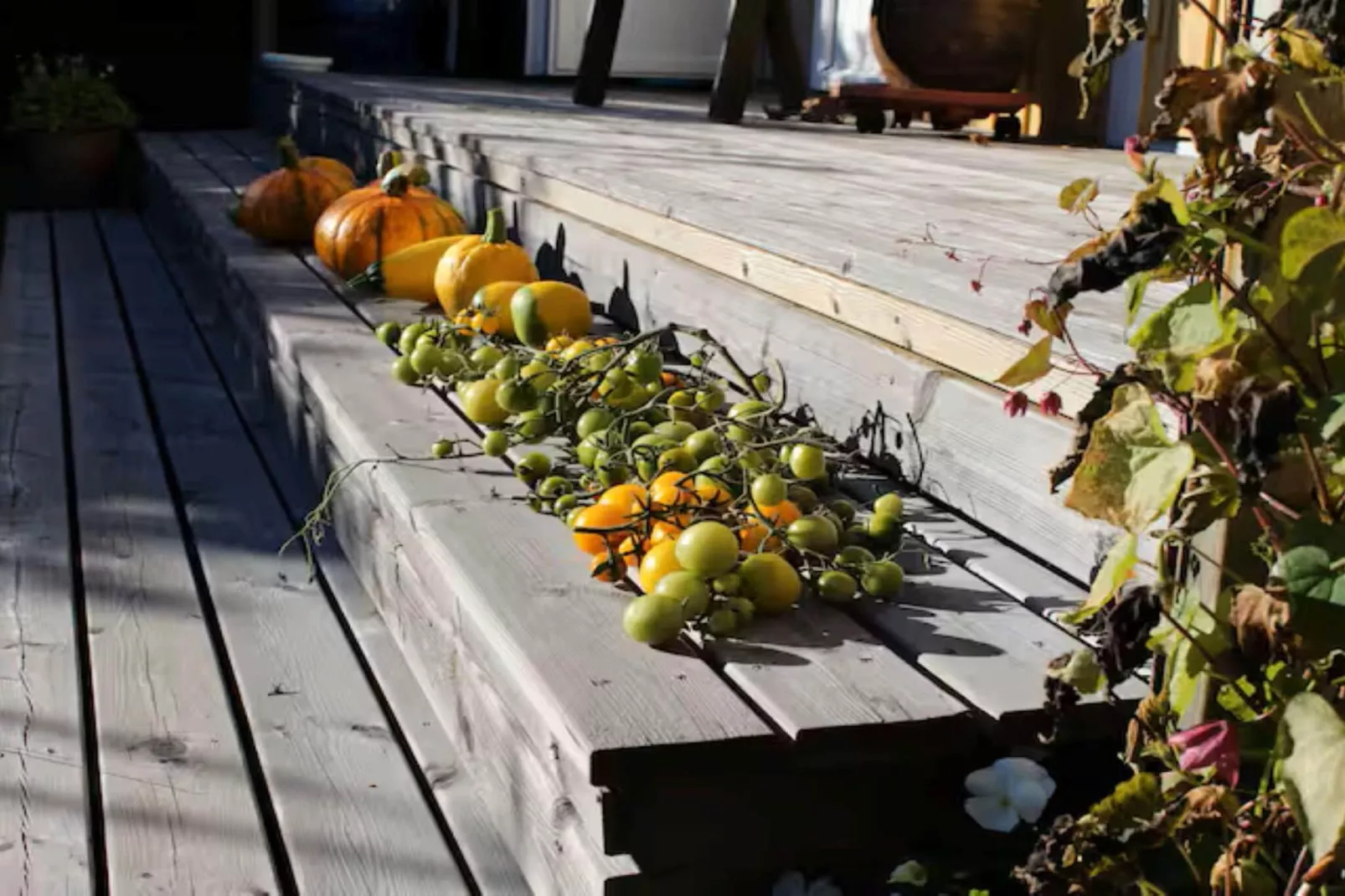 4 Personen vakantie huis in LUR-Buitenlucht