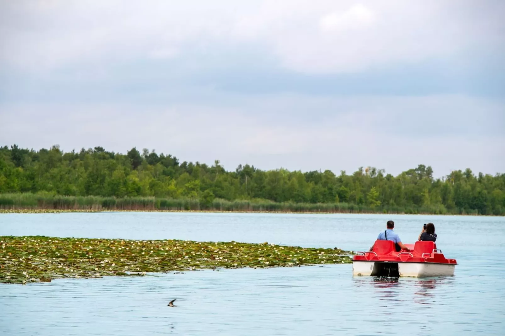 Apartment Strandläufer 113-Gebieden zomer 5km