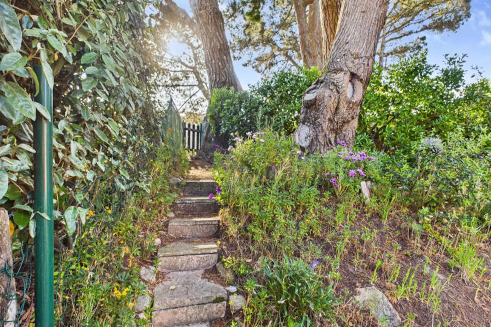 Maison à Le Pouliguen-Niet-getagd