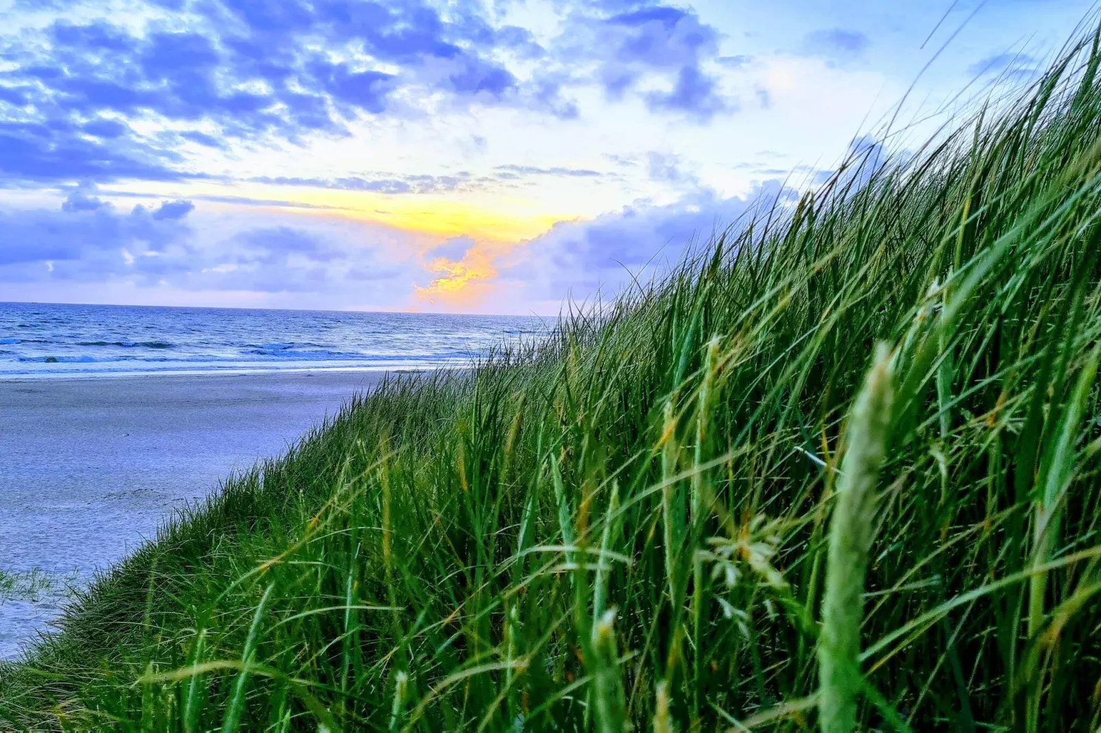 6 persoons vakantie huis in Henne-Waterzicht