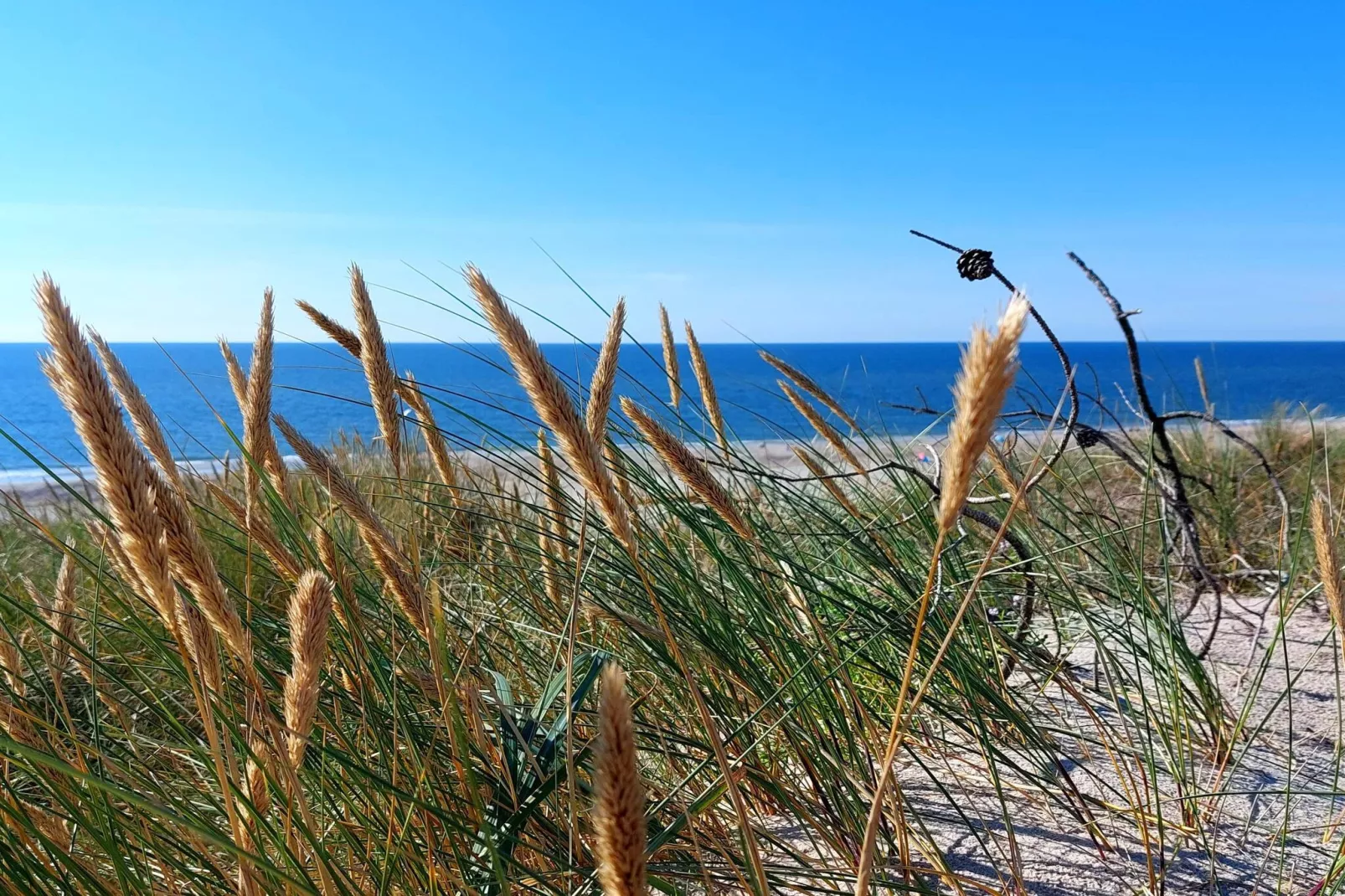 6 persoons vakantie huis in Hvide Sande-Waterzicht