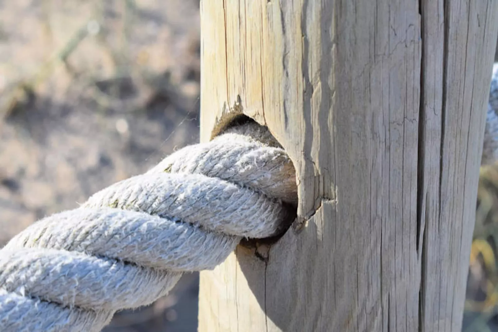 Maison à Alcúdia - Port d'Alcúdia-Niet-getagd