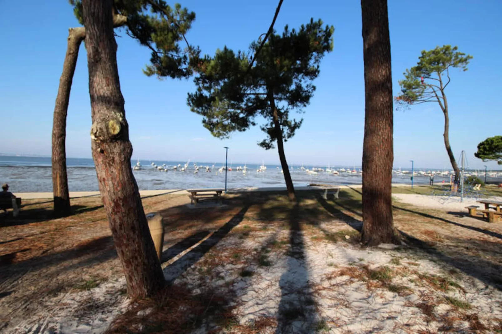 Maison à Andernos-les-Bains-Niet-getagd