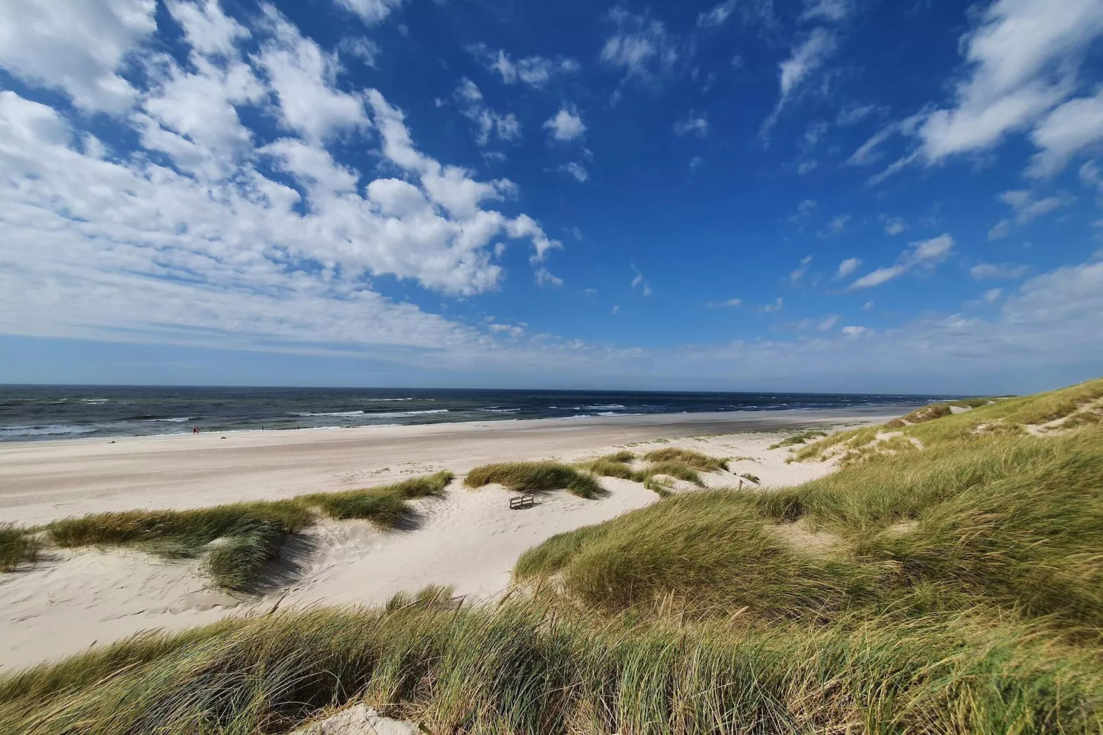 6 persoons vakantie huis in Henne-Waterzicht