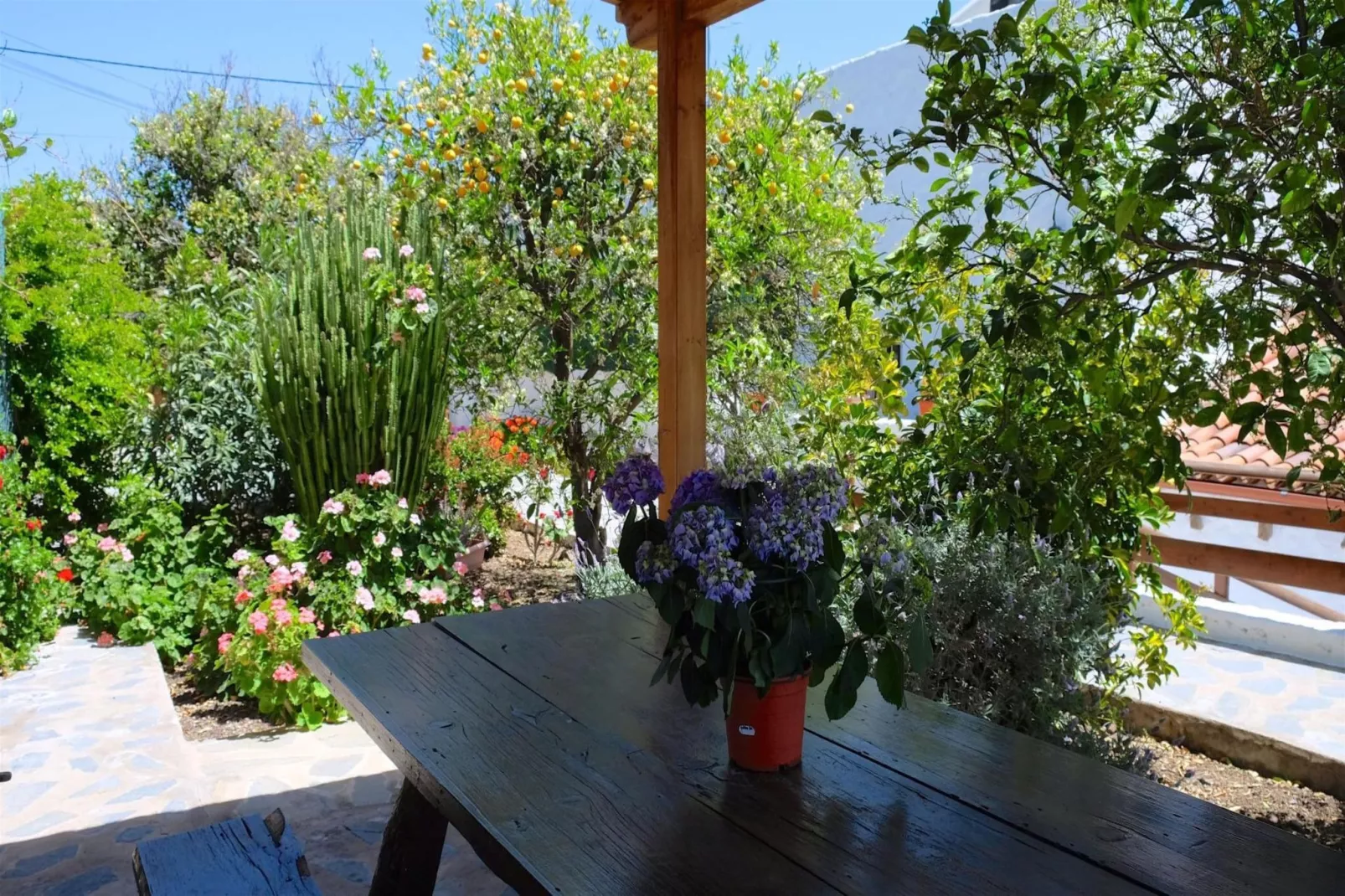 Casa Rural Sofia-Tuinen zomer