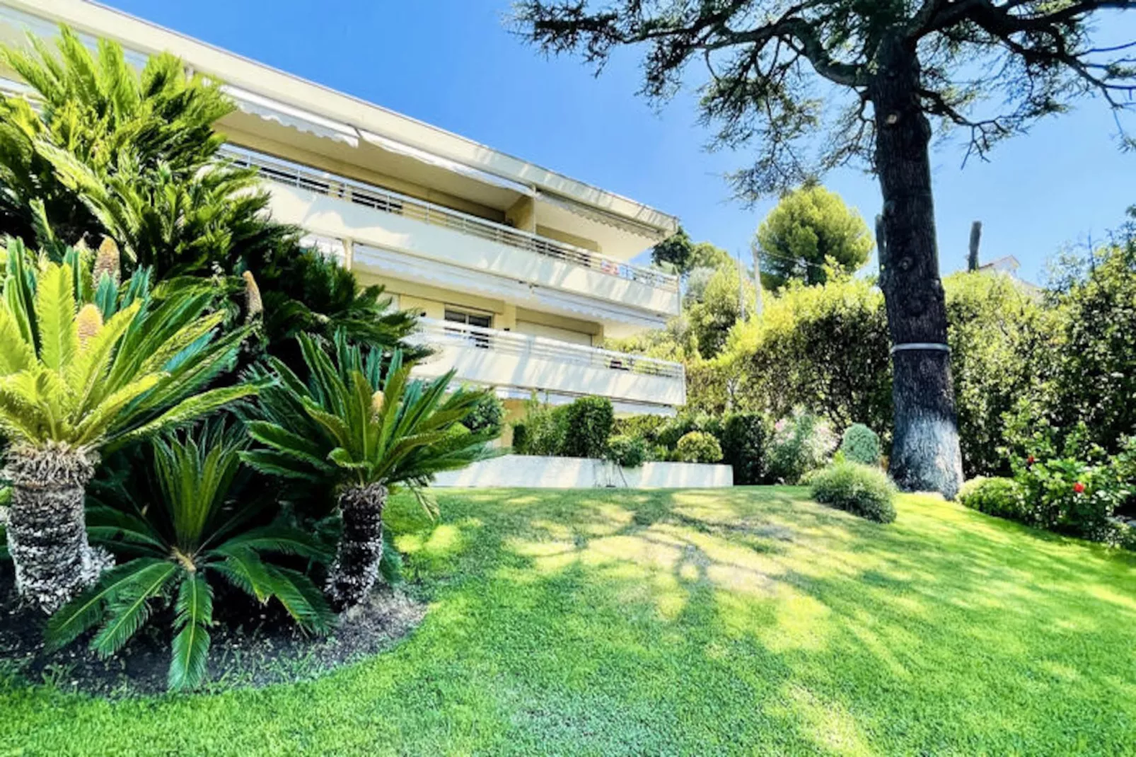 Appartements à Cannes-Niet-getagd