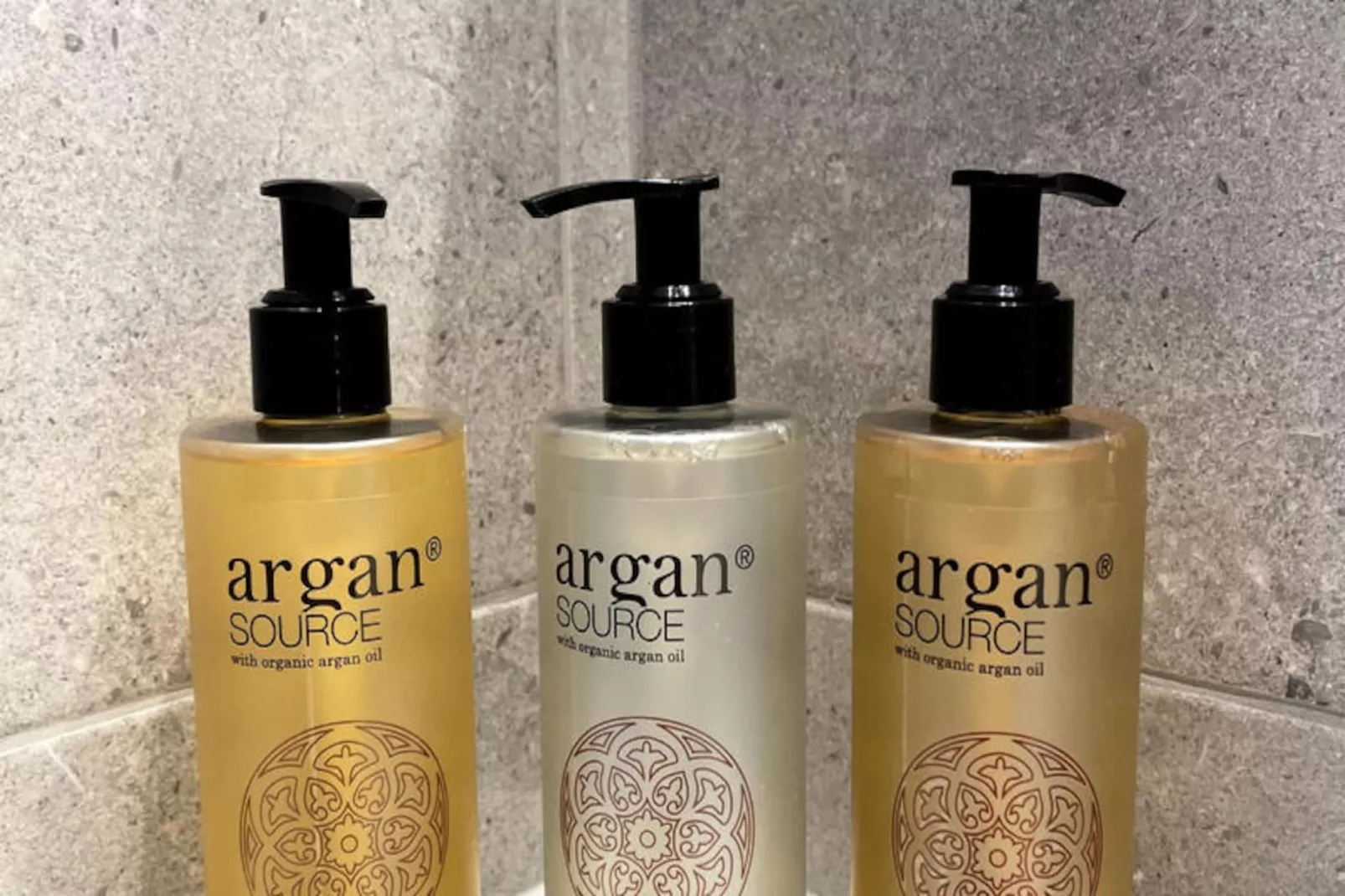 Appartements à Le Mont Dore-Niet-getagd