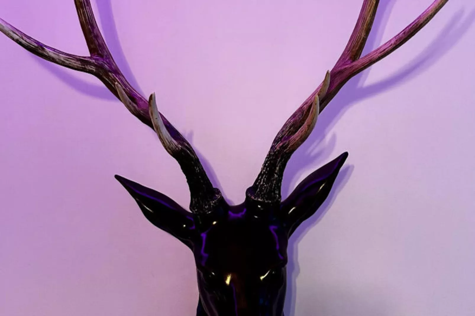 Appartements à Le Mont Dore-Niet-getagd