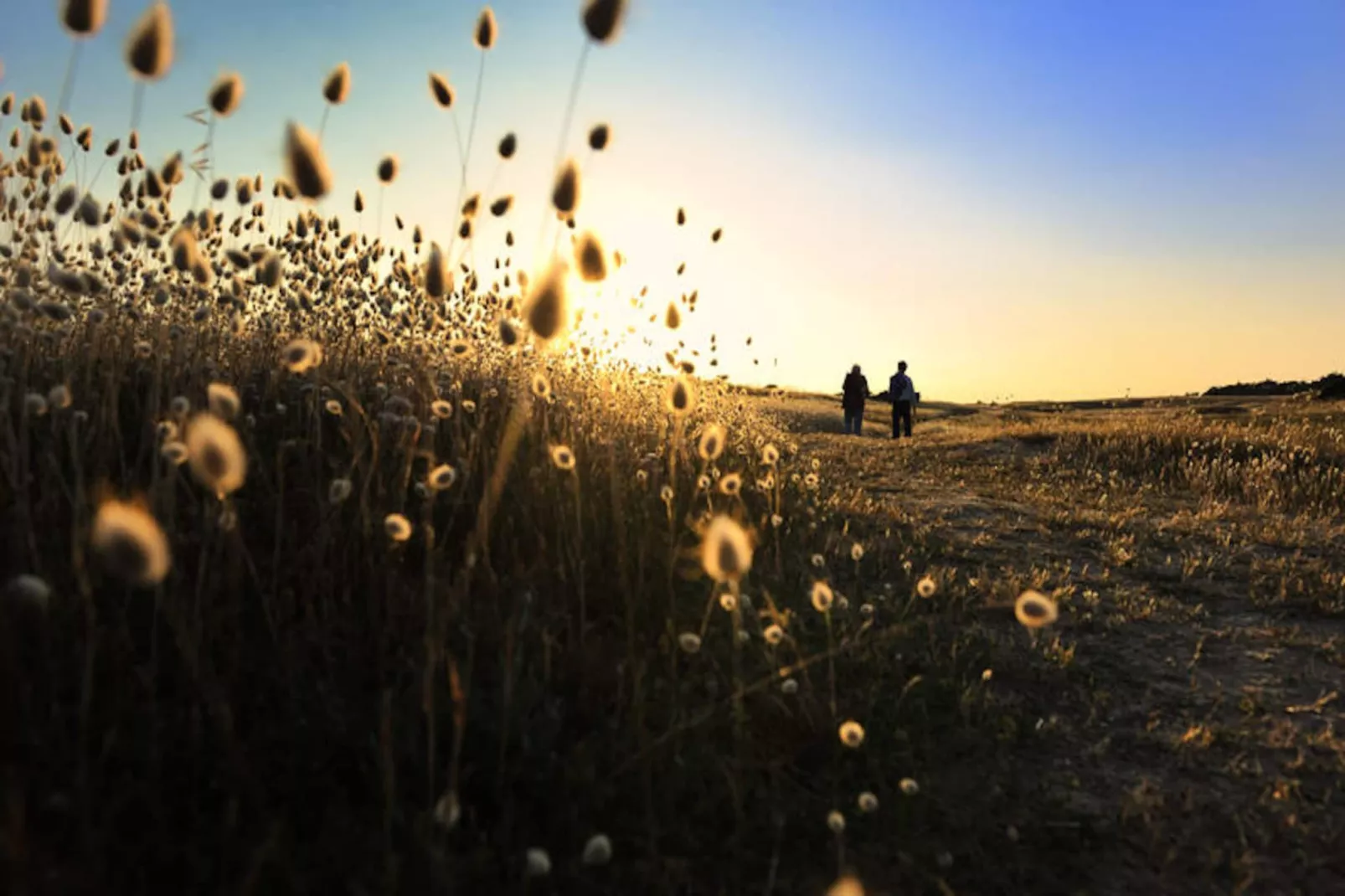 Maison à Barbâtre - Ile de Noirmoutier-Niet-getagd