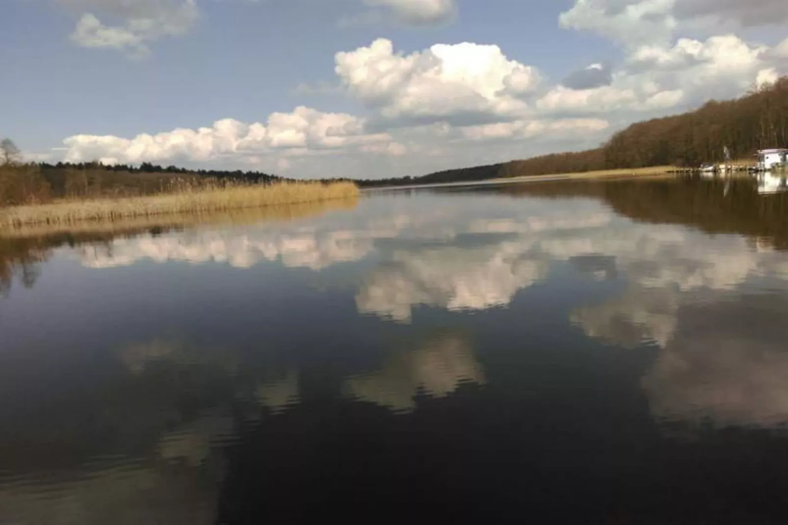 FH Wildgans Comfort Nr 42